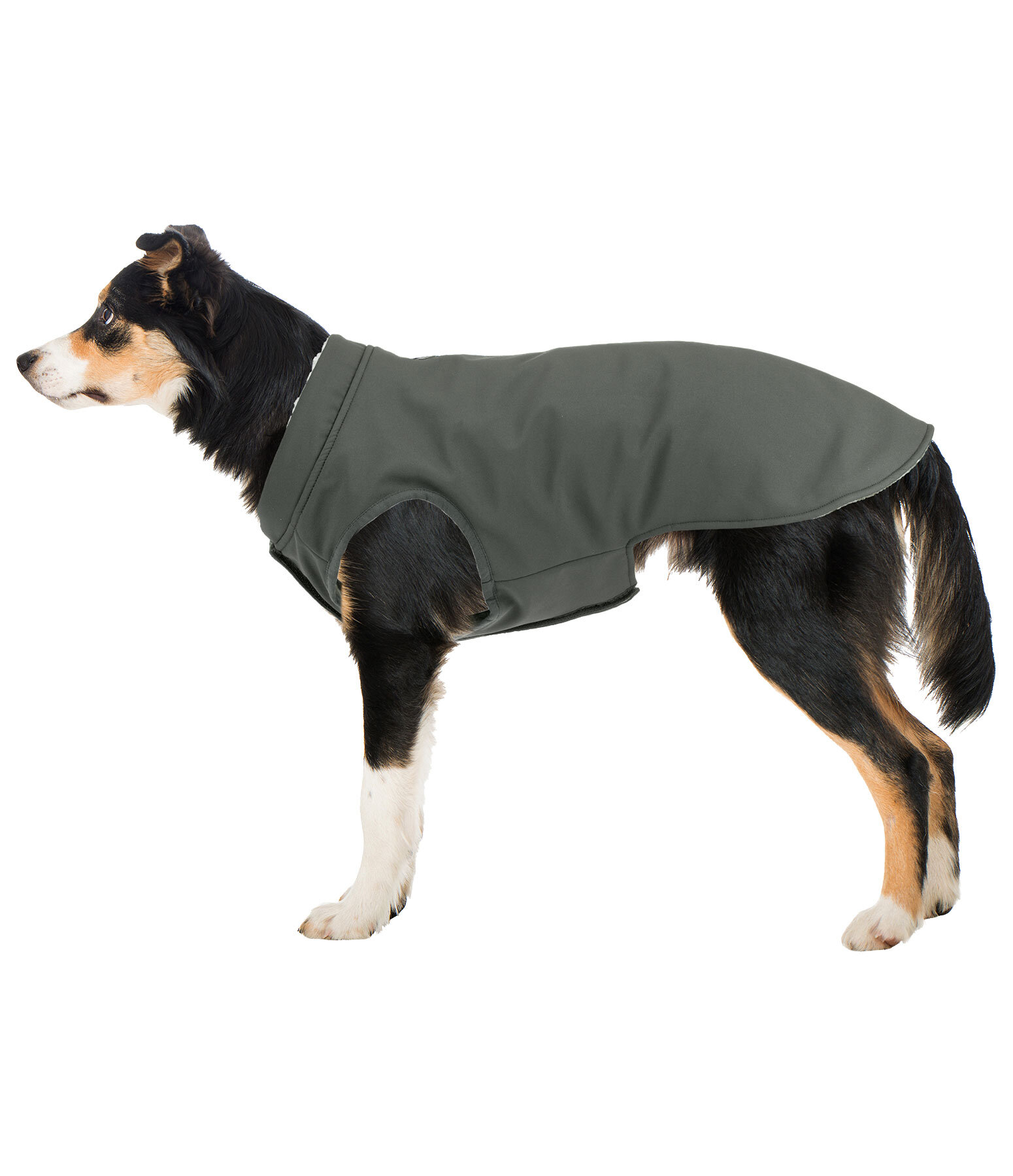 Cappotto reversibile in softshell per cani Yoko, 80 g