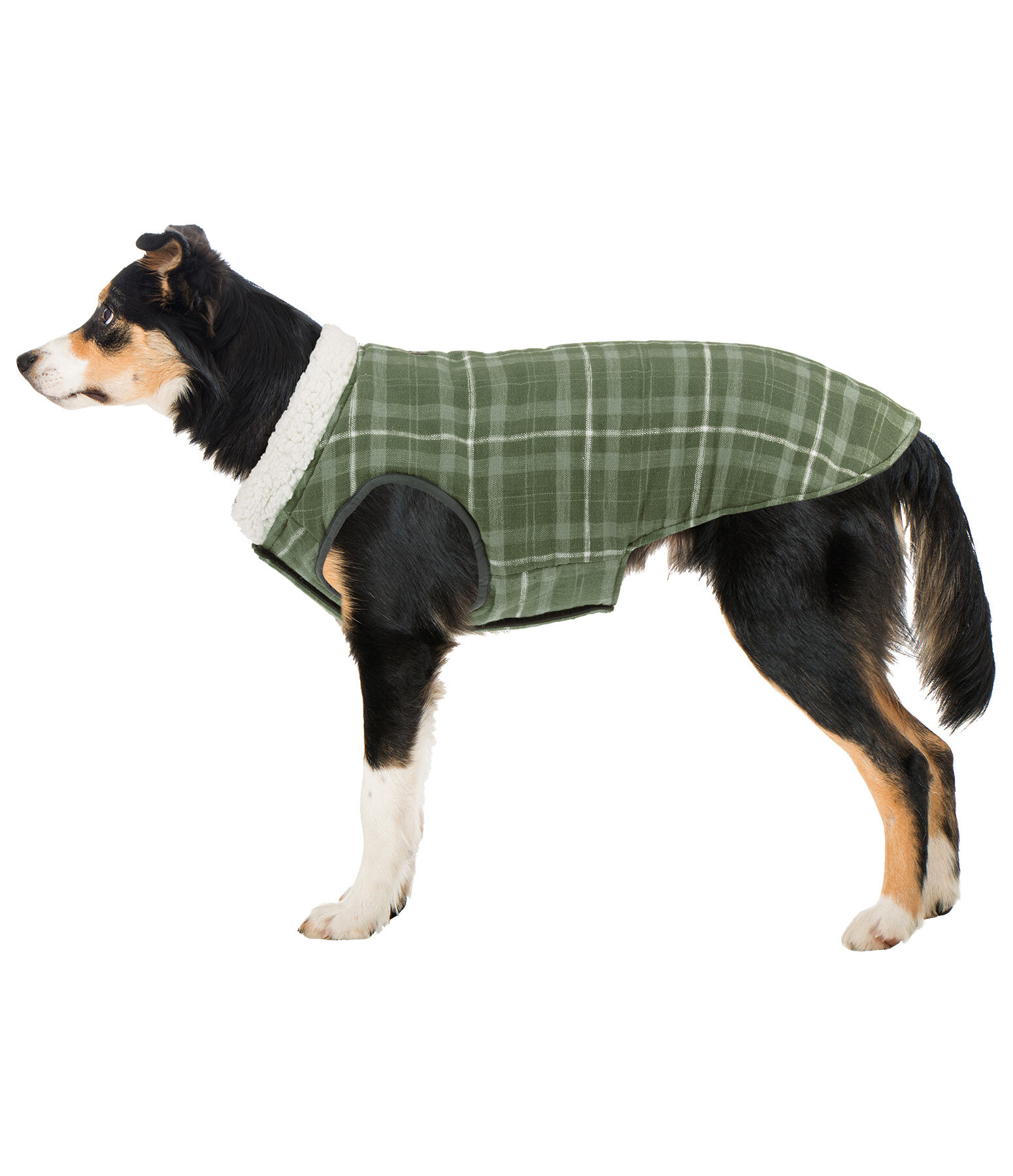 Cappotto reversibile in softshell per cani Yoko, 80 g