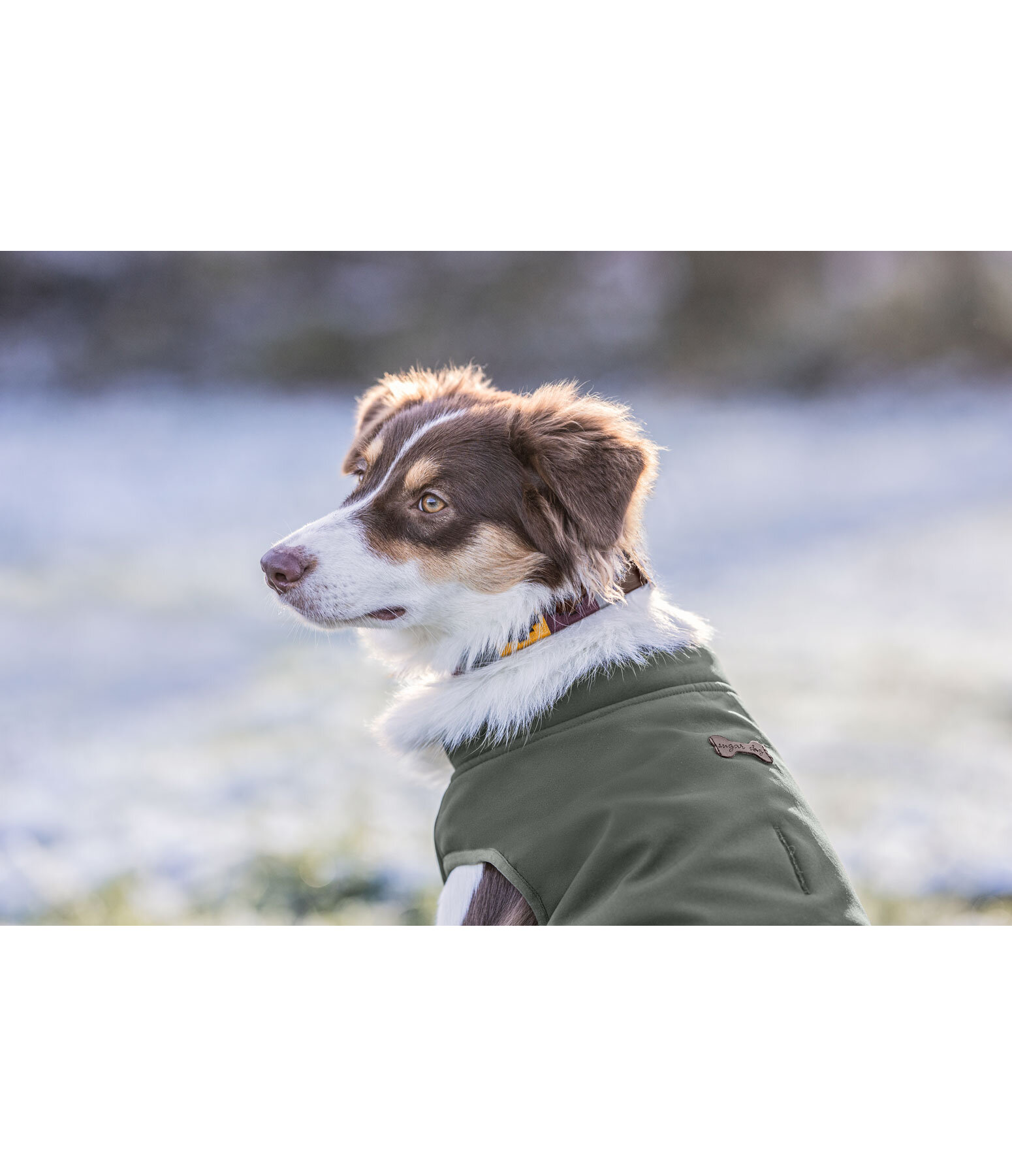 Cappotto reversibile in softshell per cani Yoko, 80 g