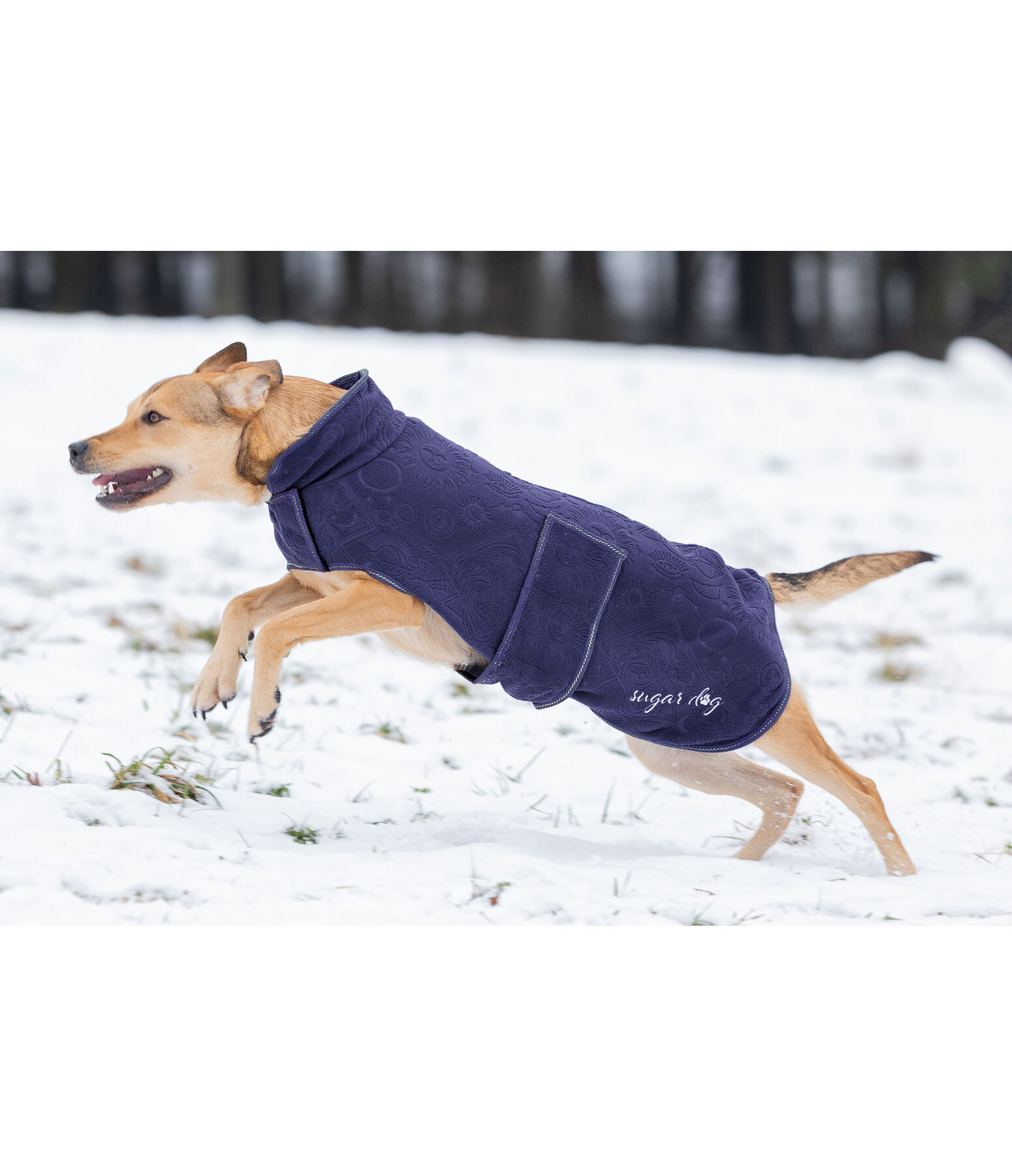 Animal Well Cappotto Per Cani In Pile XS Giacca Per Cani Extra