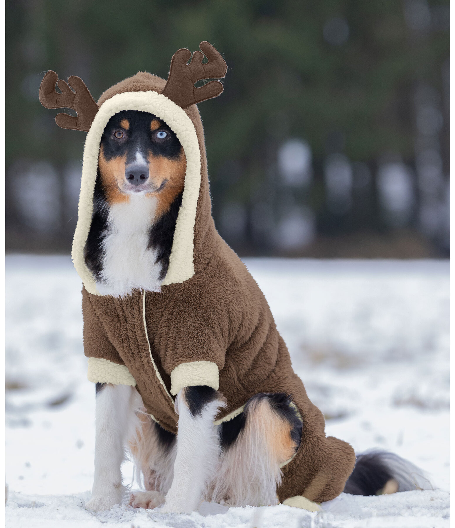 Onesie per cani Rudolph