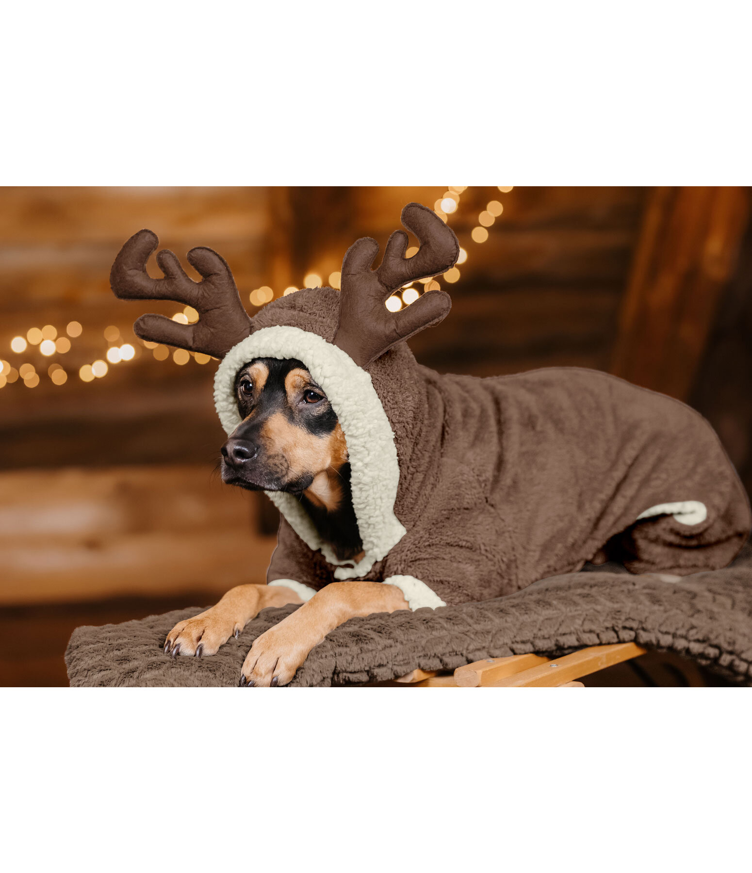 Onesie per cani Rudolph