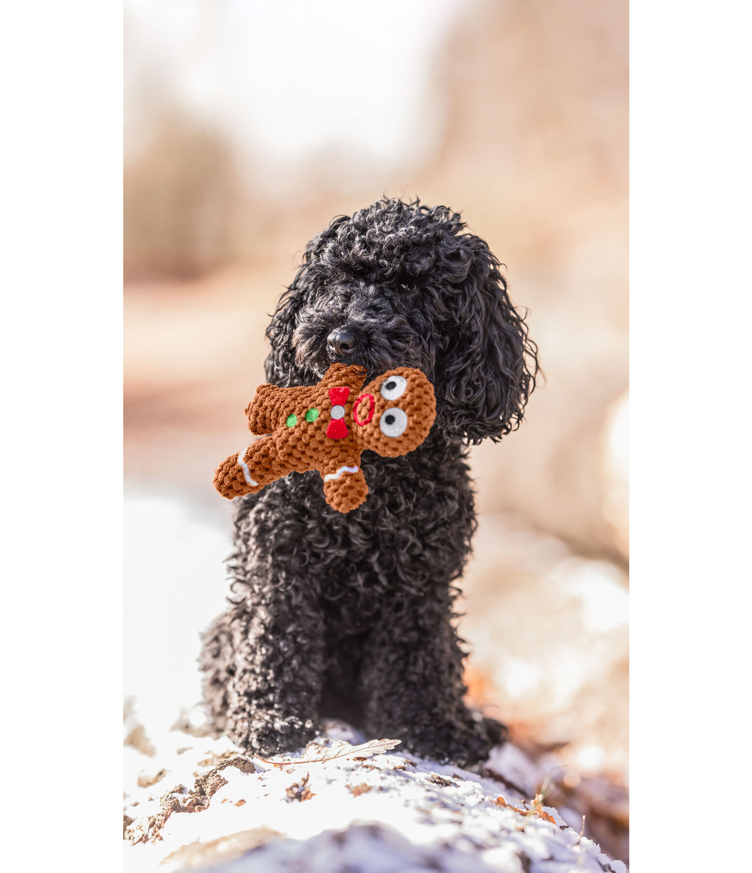 Peluche giocattolo per cani Ginger