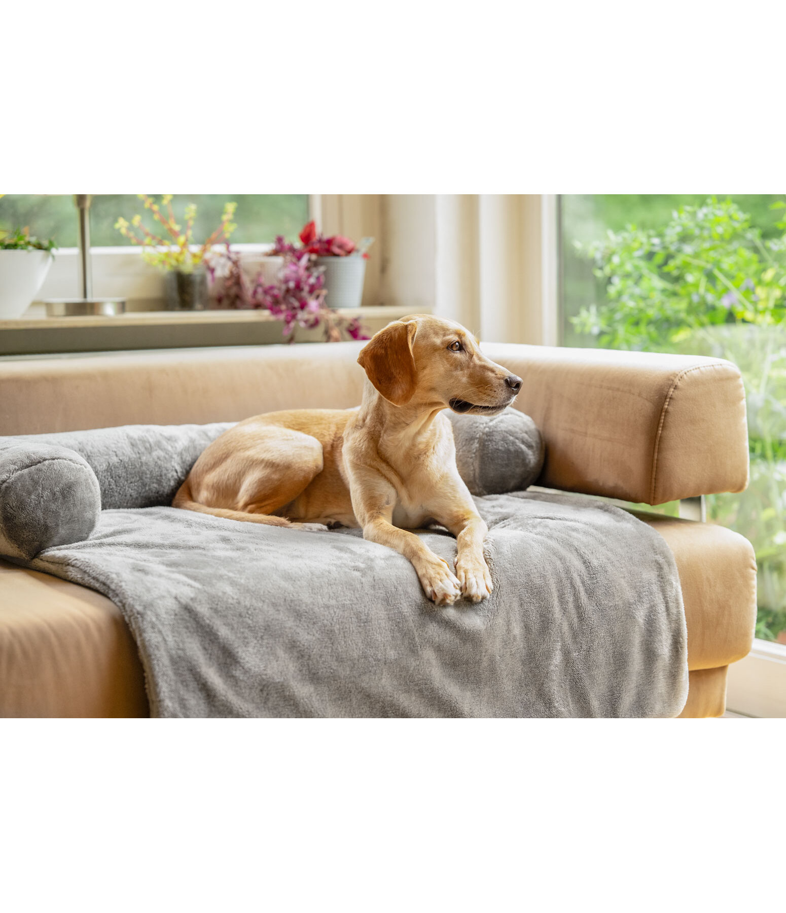 Protezione in pile per arredi Guard