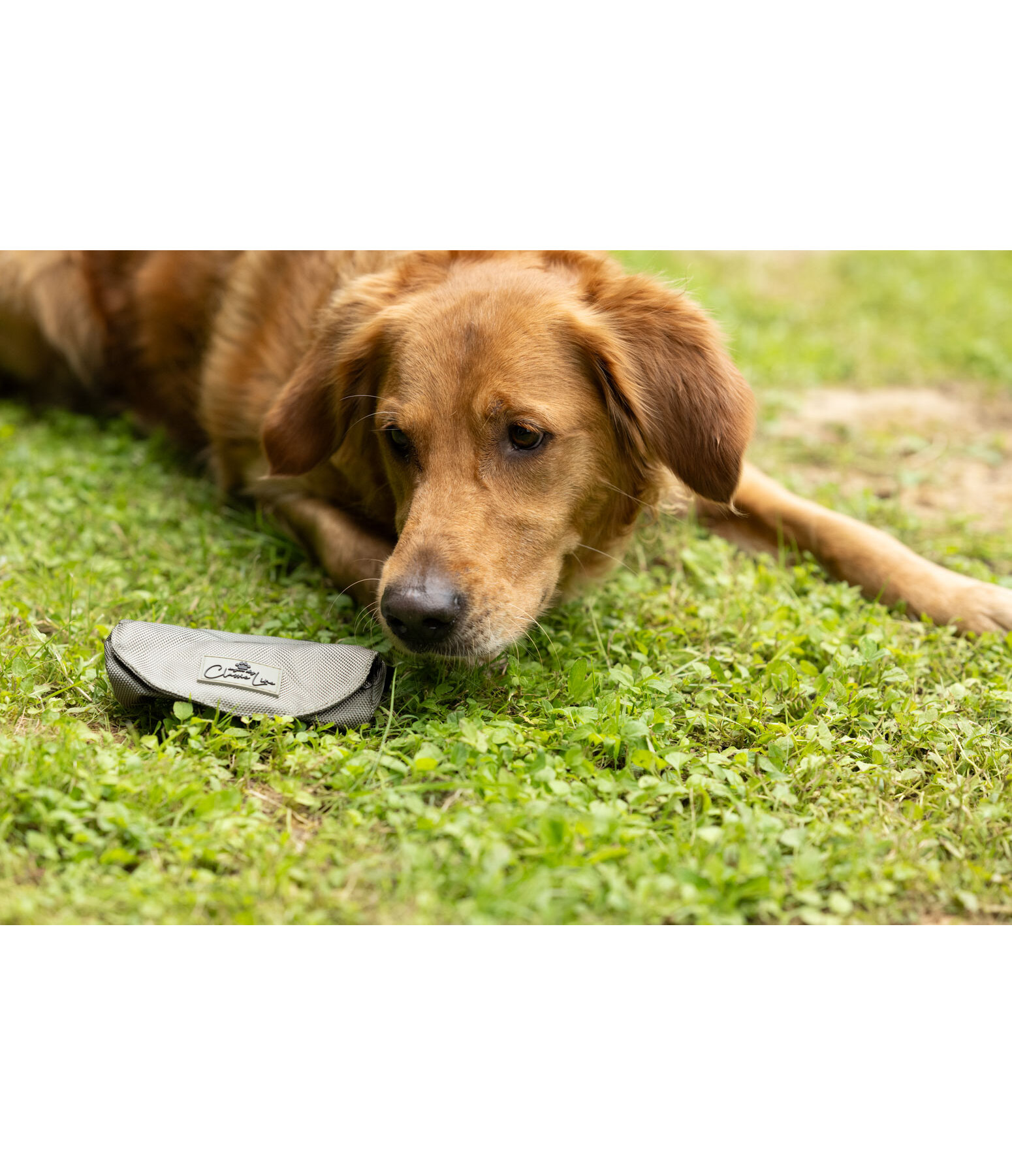 Astuccio da riporto Classic Line