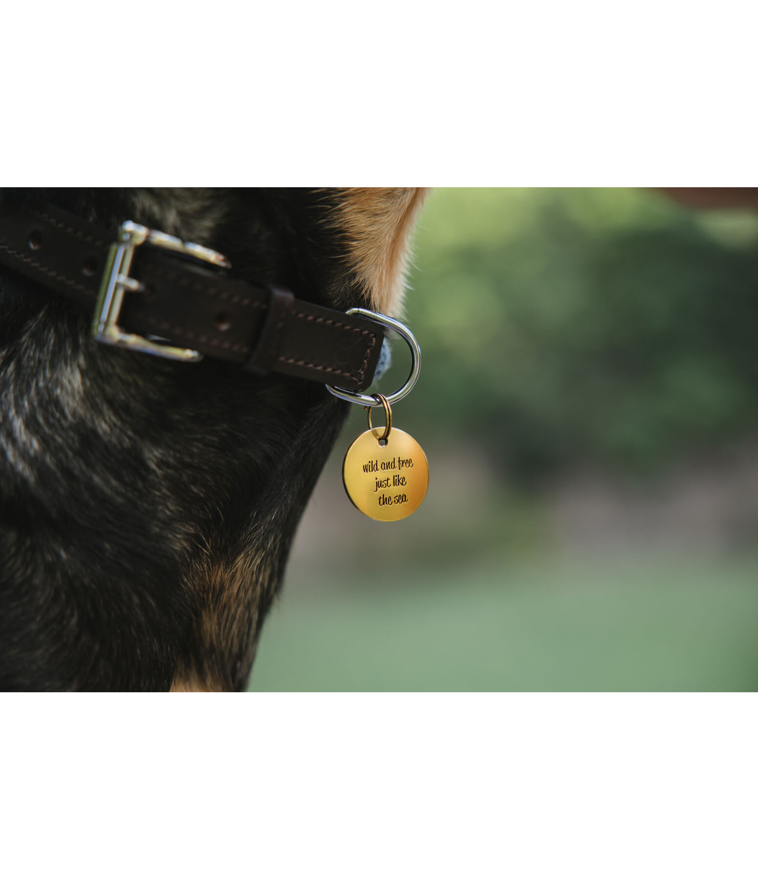 Charm Travel Buddy