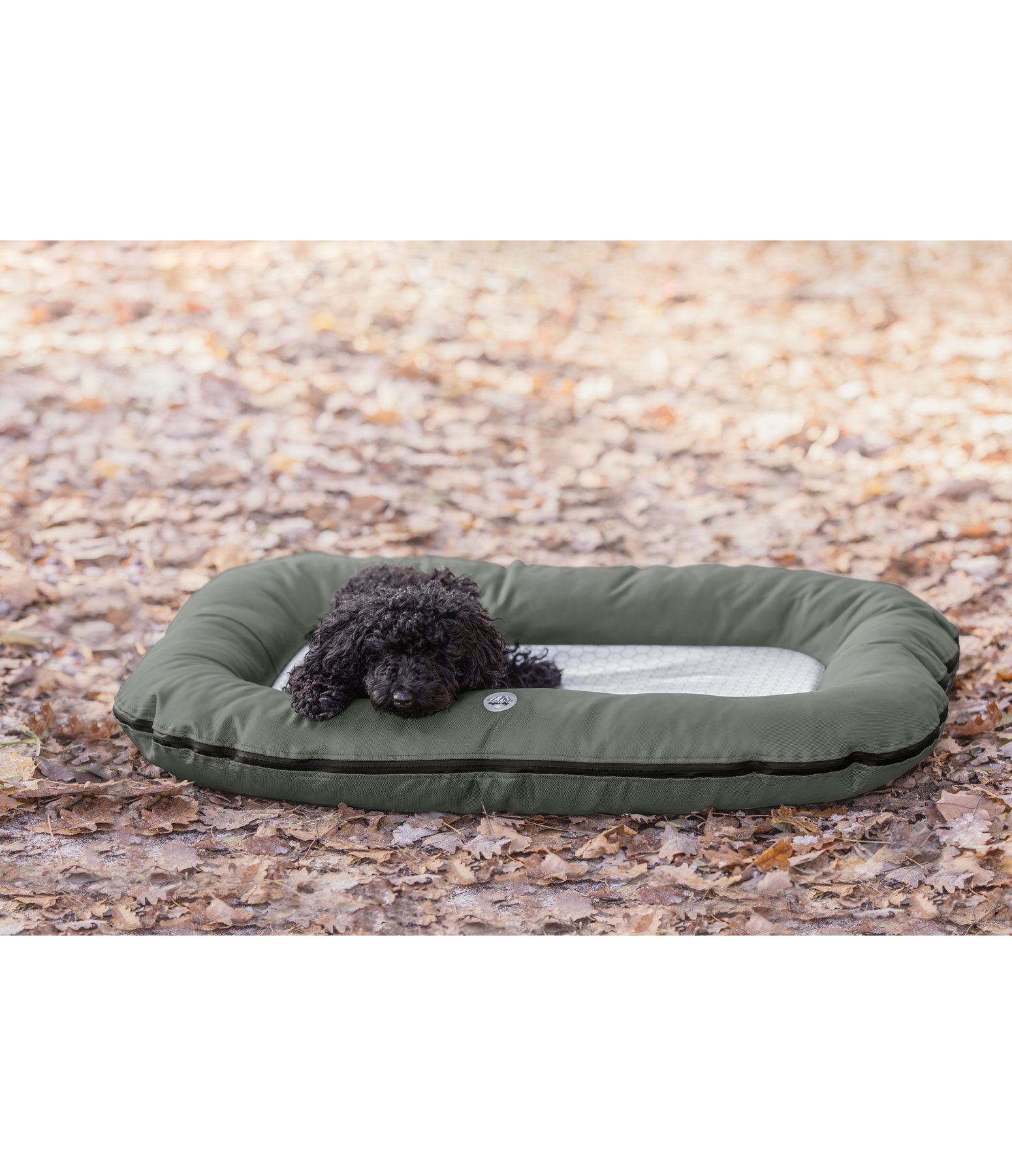 Cuccia outdoor per cani Alverstone