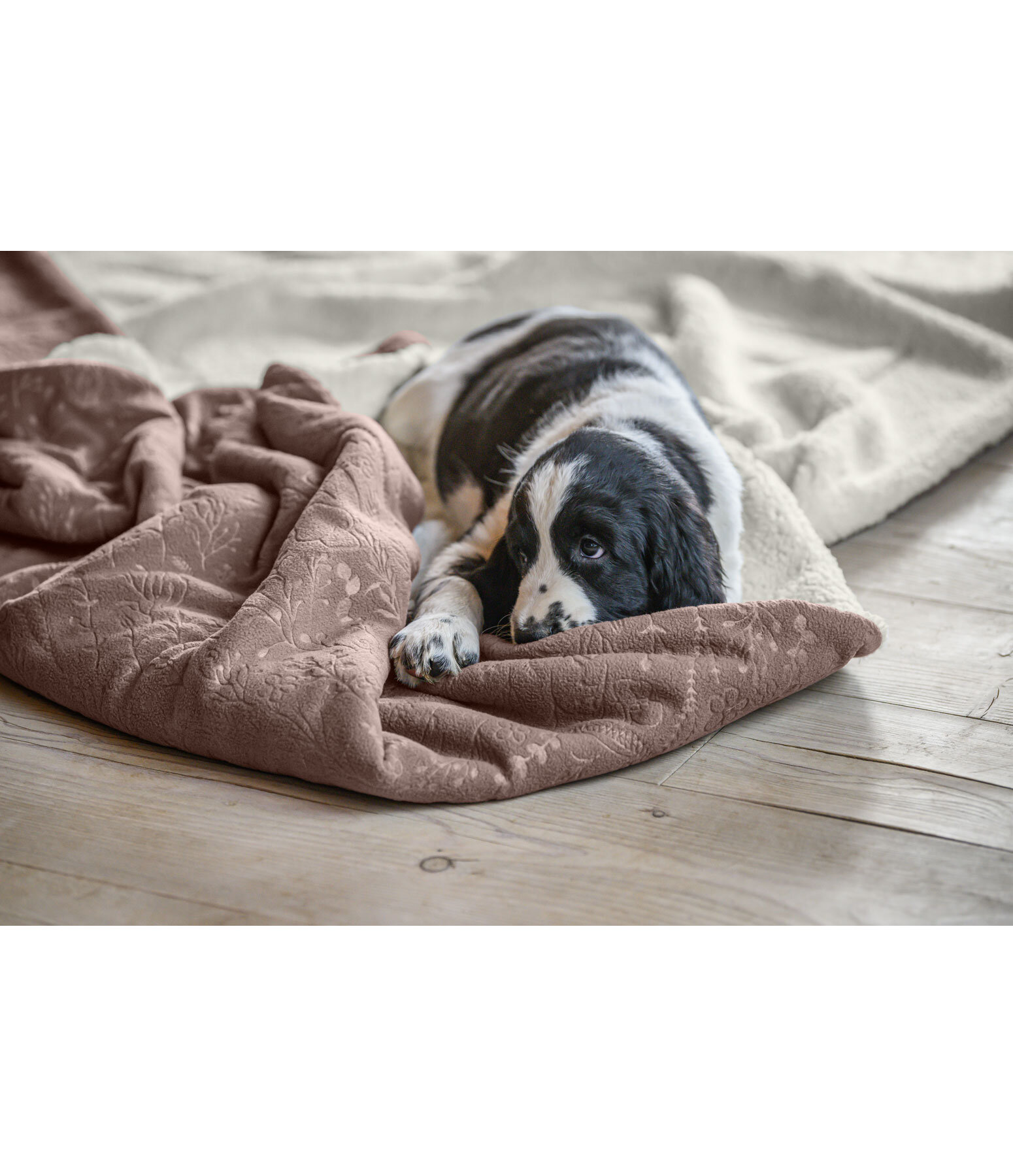 Coperta reversibile per cani Wildflower