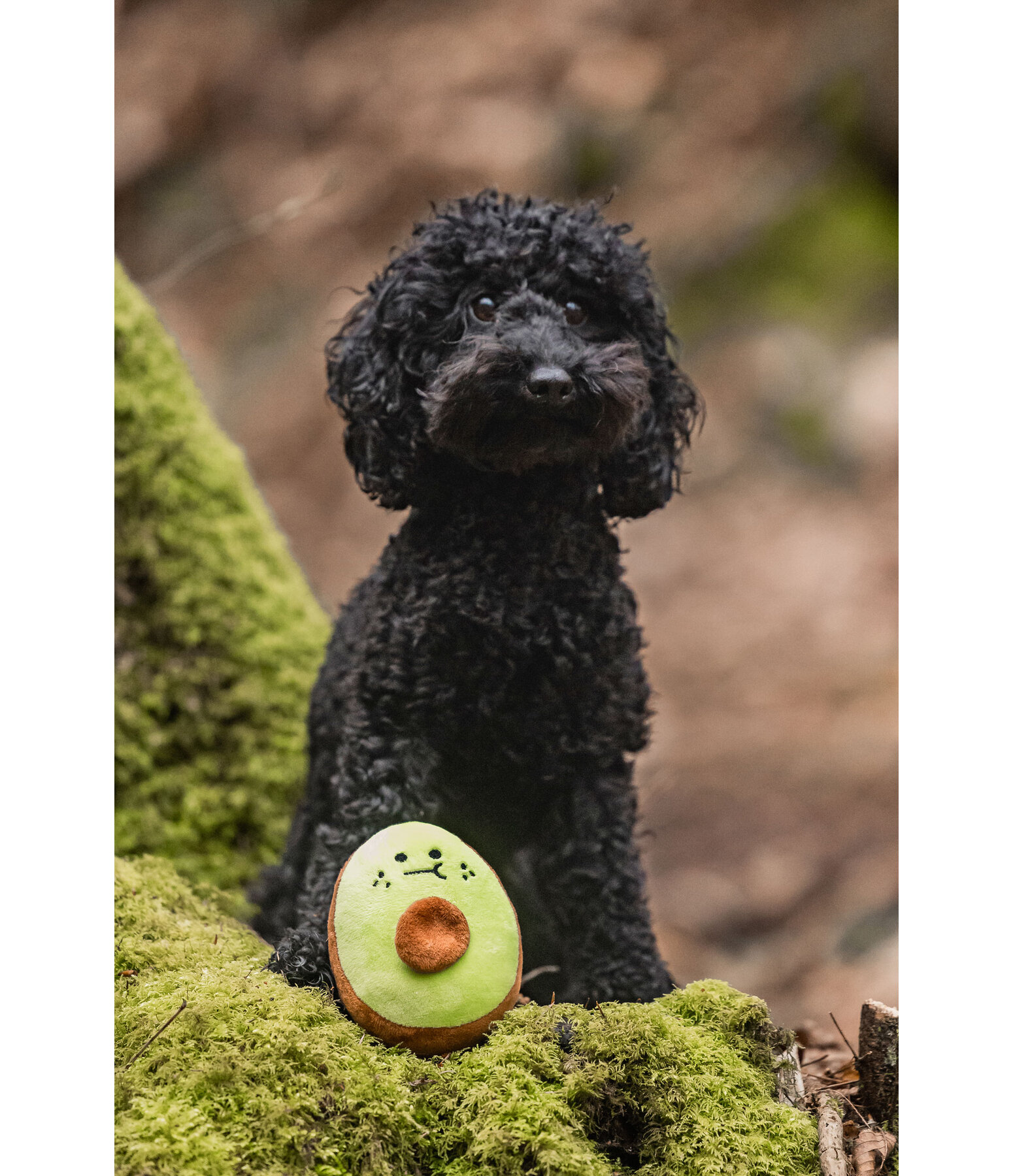 Peluche per cani Avocado