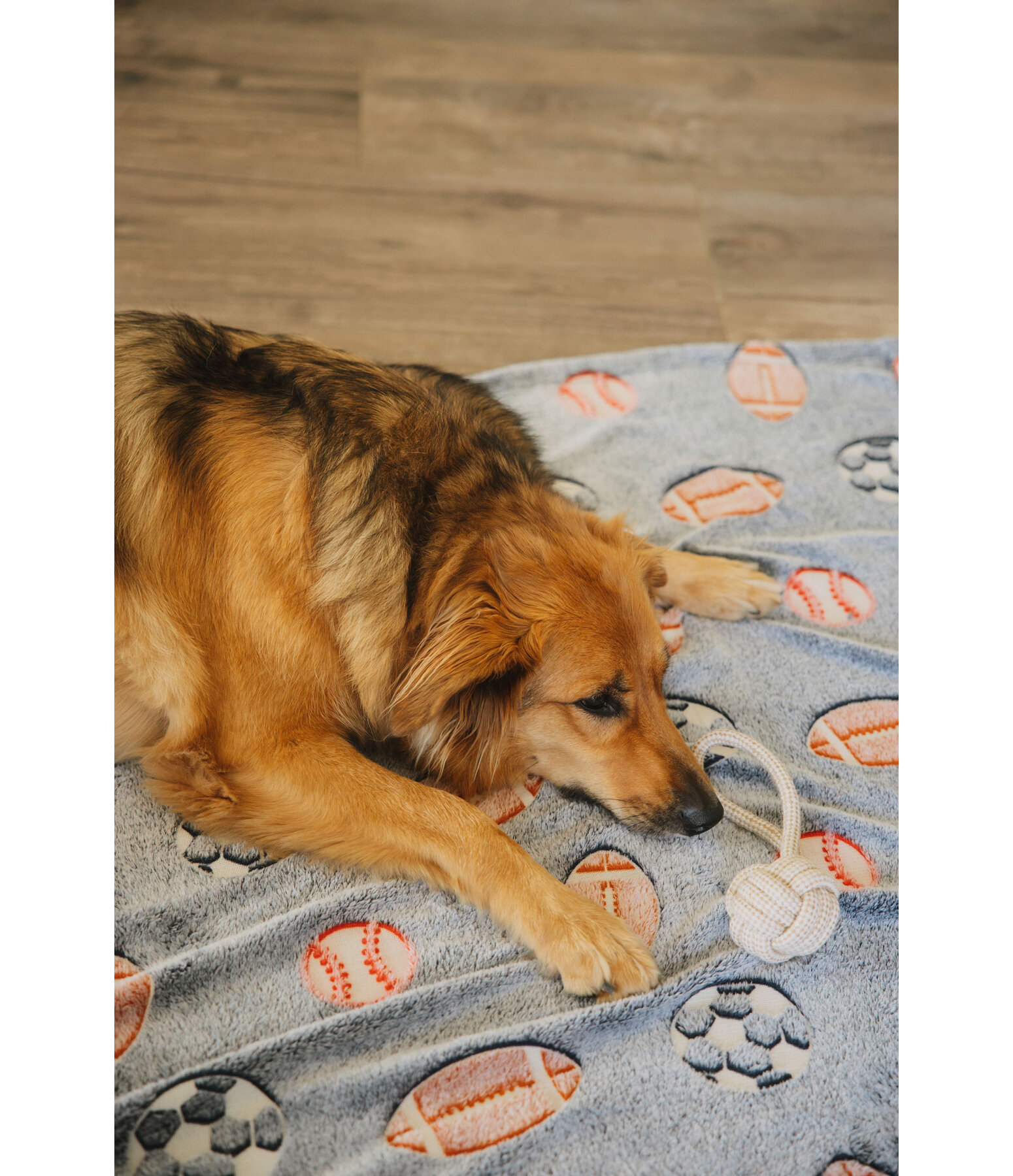 Giocattolo in corda per cani Jack