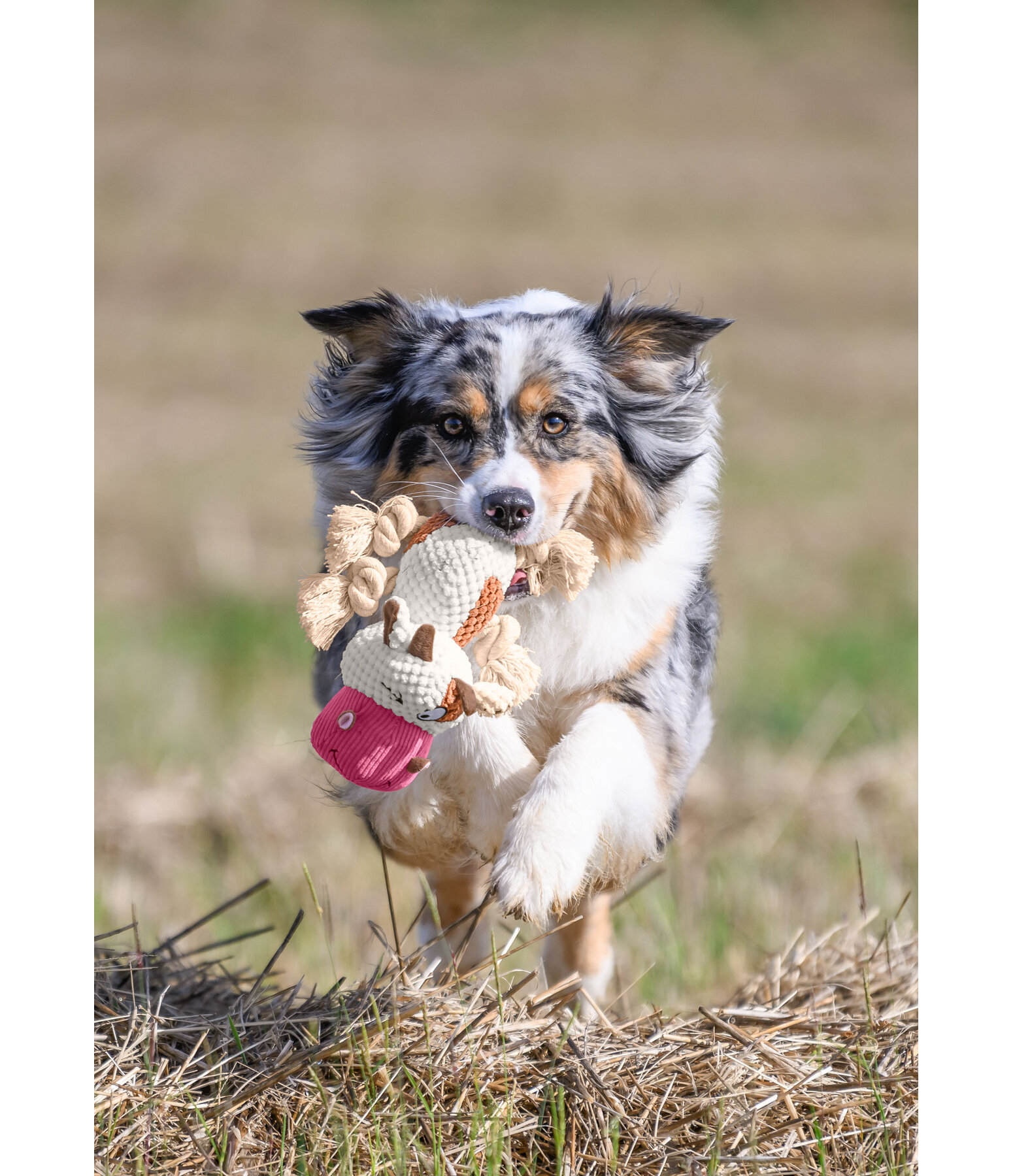 Mucca peluche per cani Zenzi