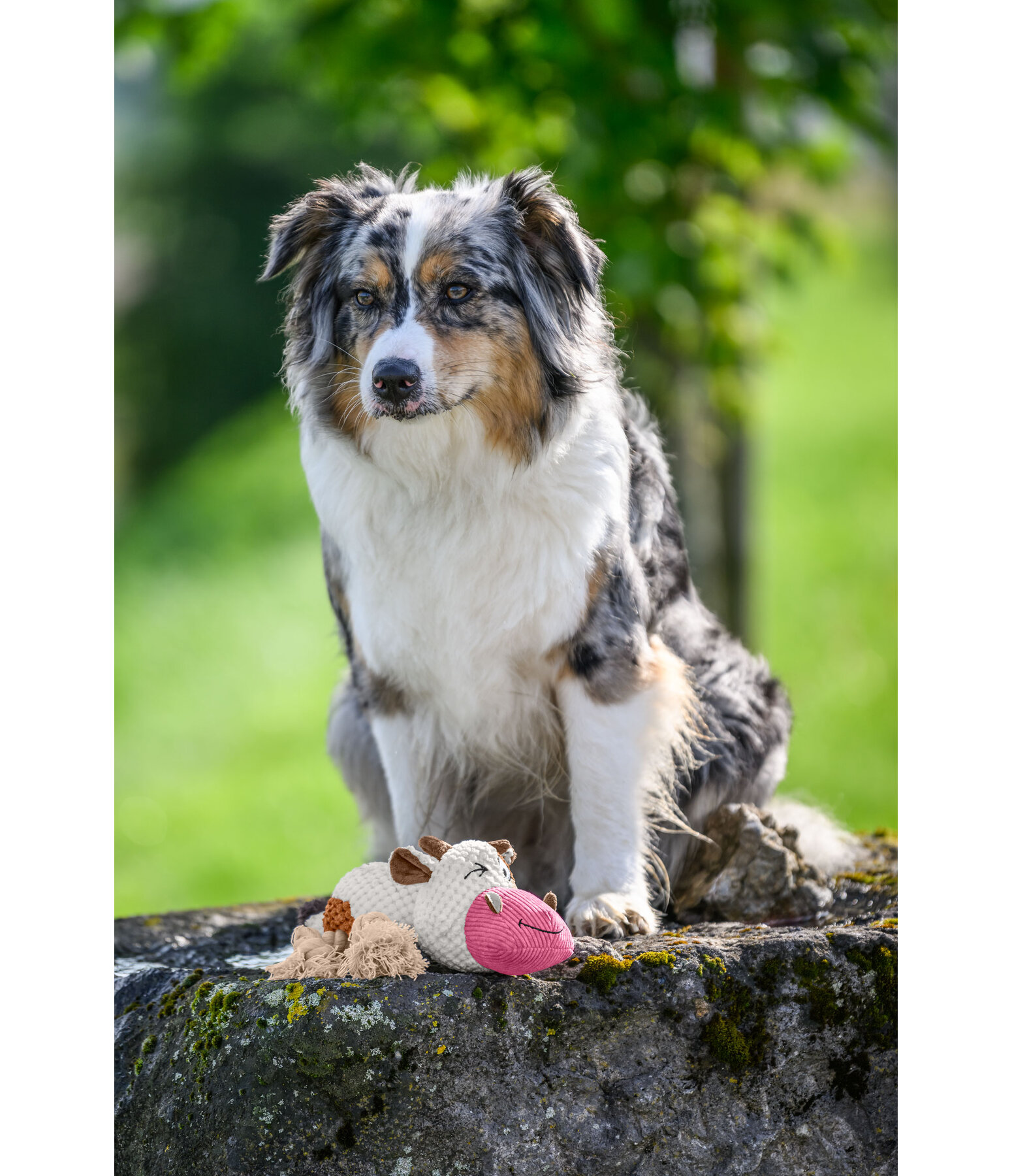 Mucca peluche per cani Zenzi