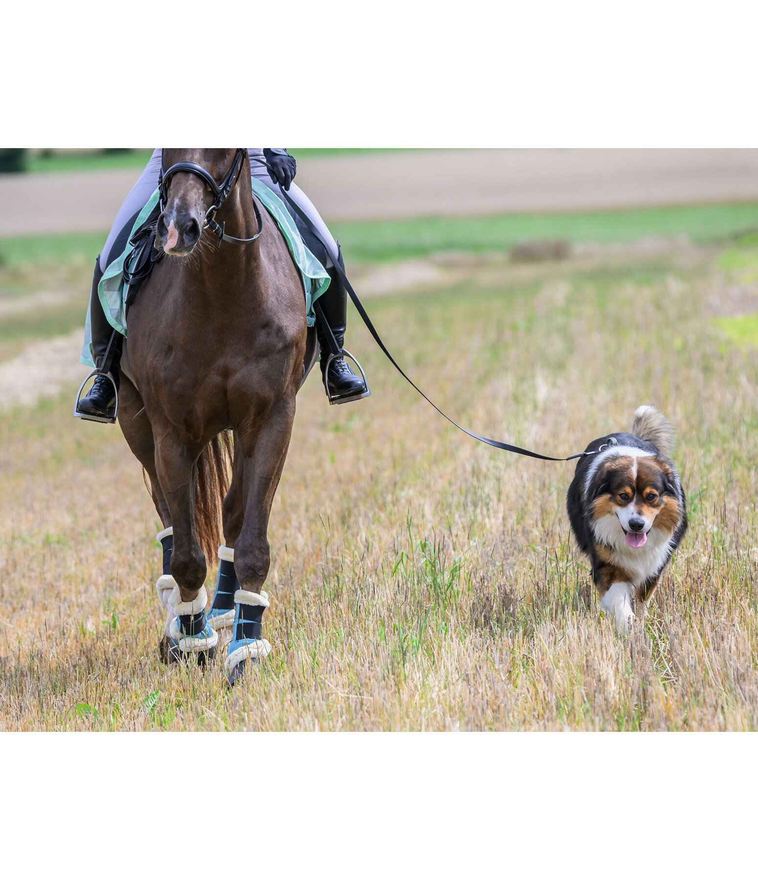 Guinzaglio lungo waterproof Ginny