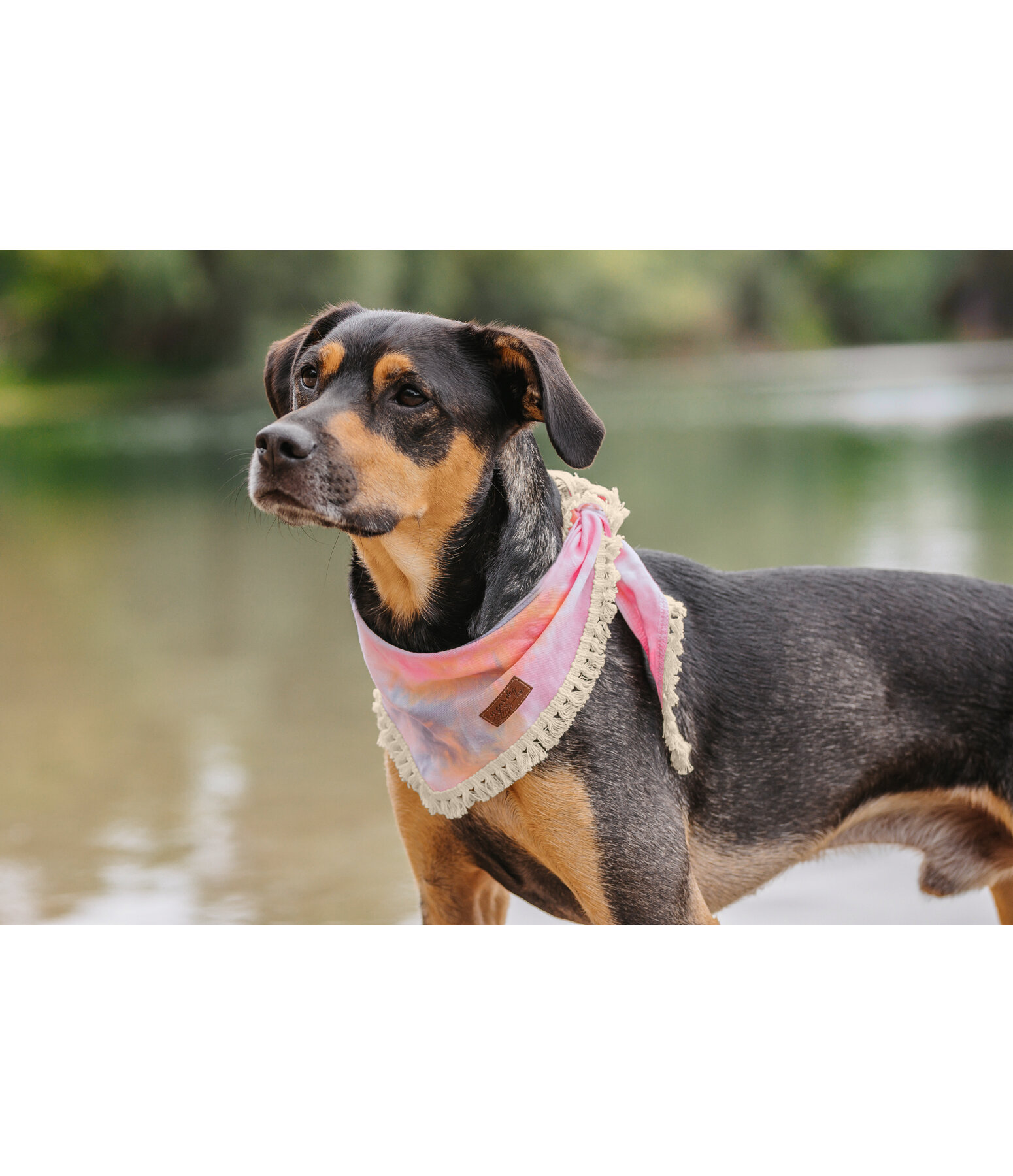 Bandana batik per cani Dakota