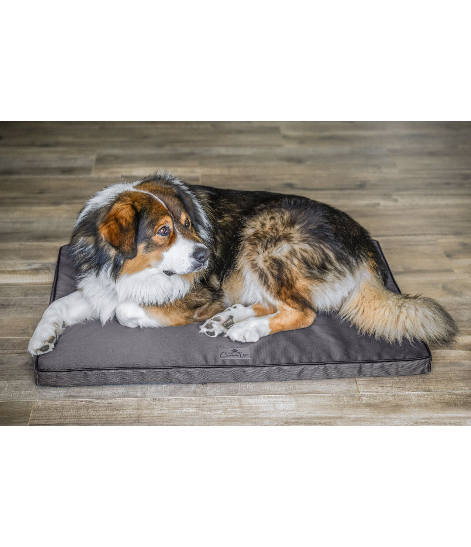 Materassino rinfrescante per cani Atlanta