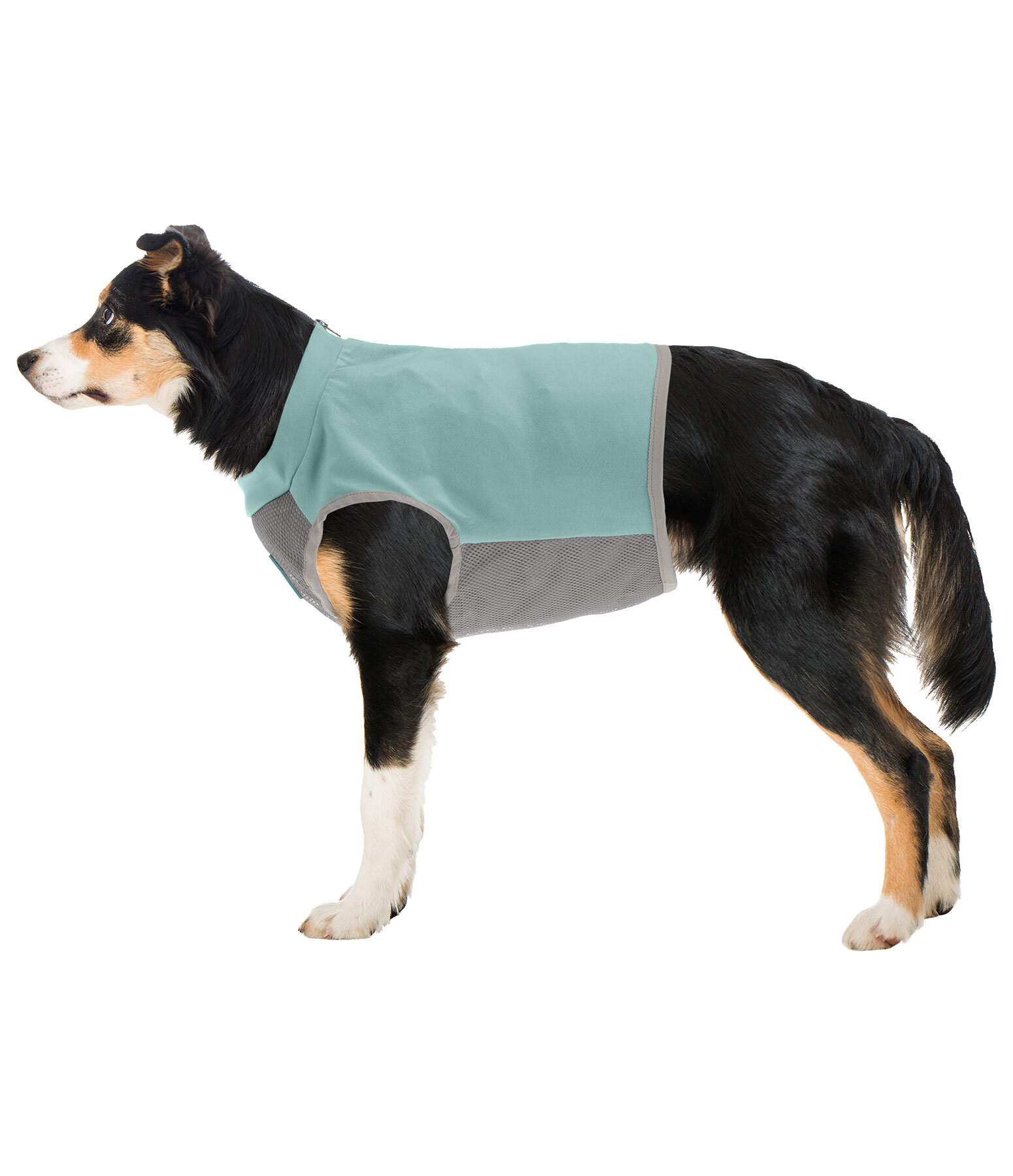 Cappotto rinfrescante per cani Refresh