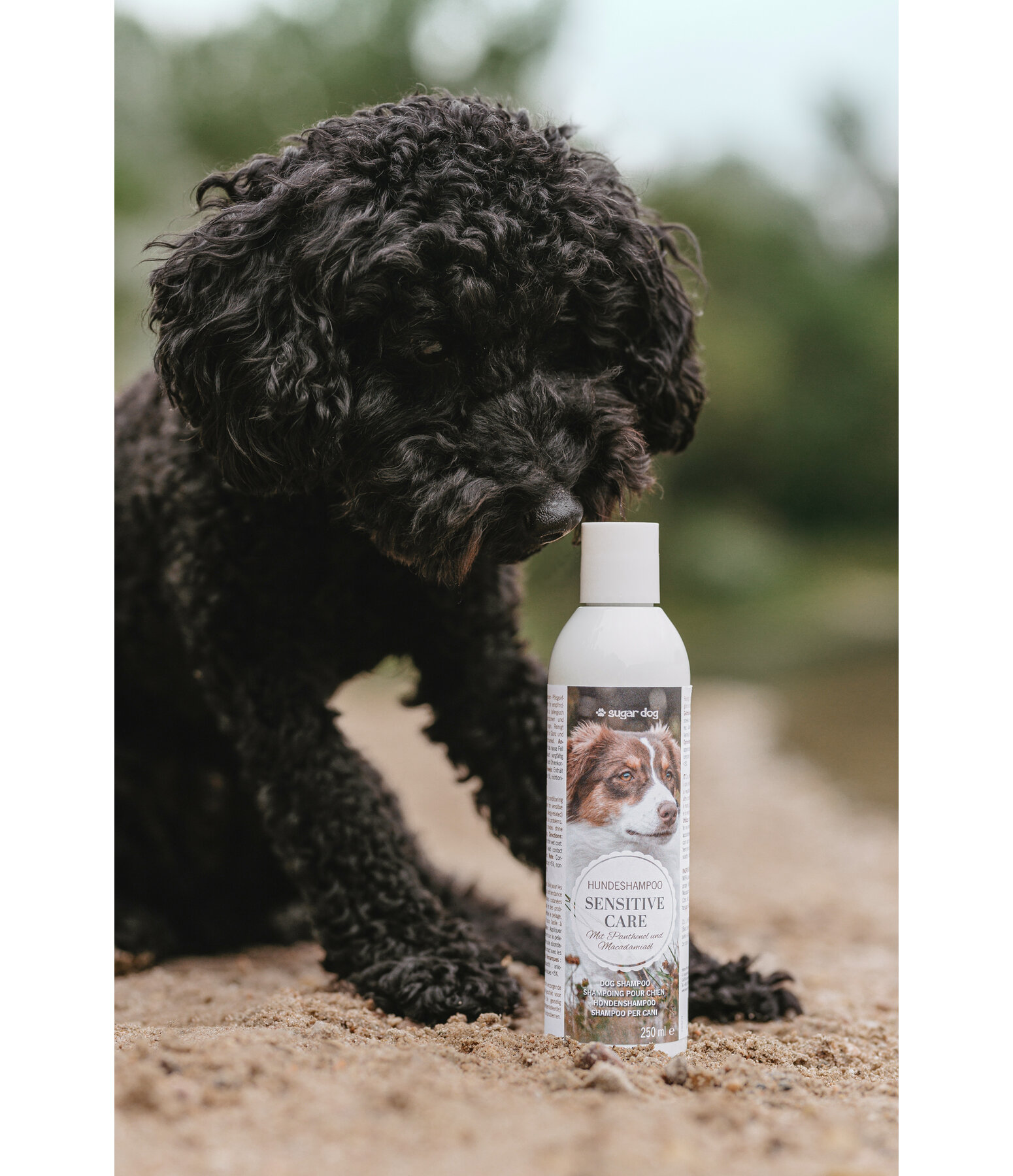 Shampoo per cani Sensitive Care