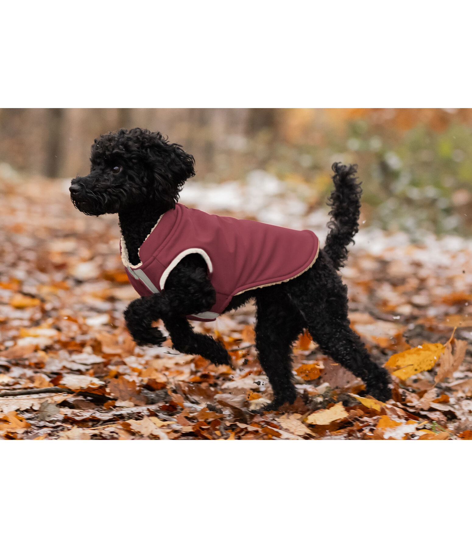 Cappotto reversibile in softshell per cani Willa, 80 g