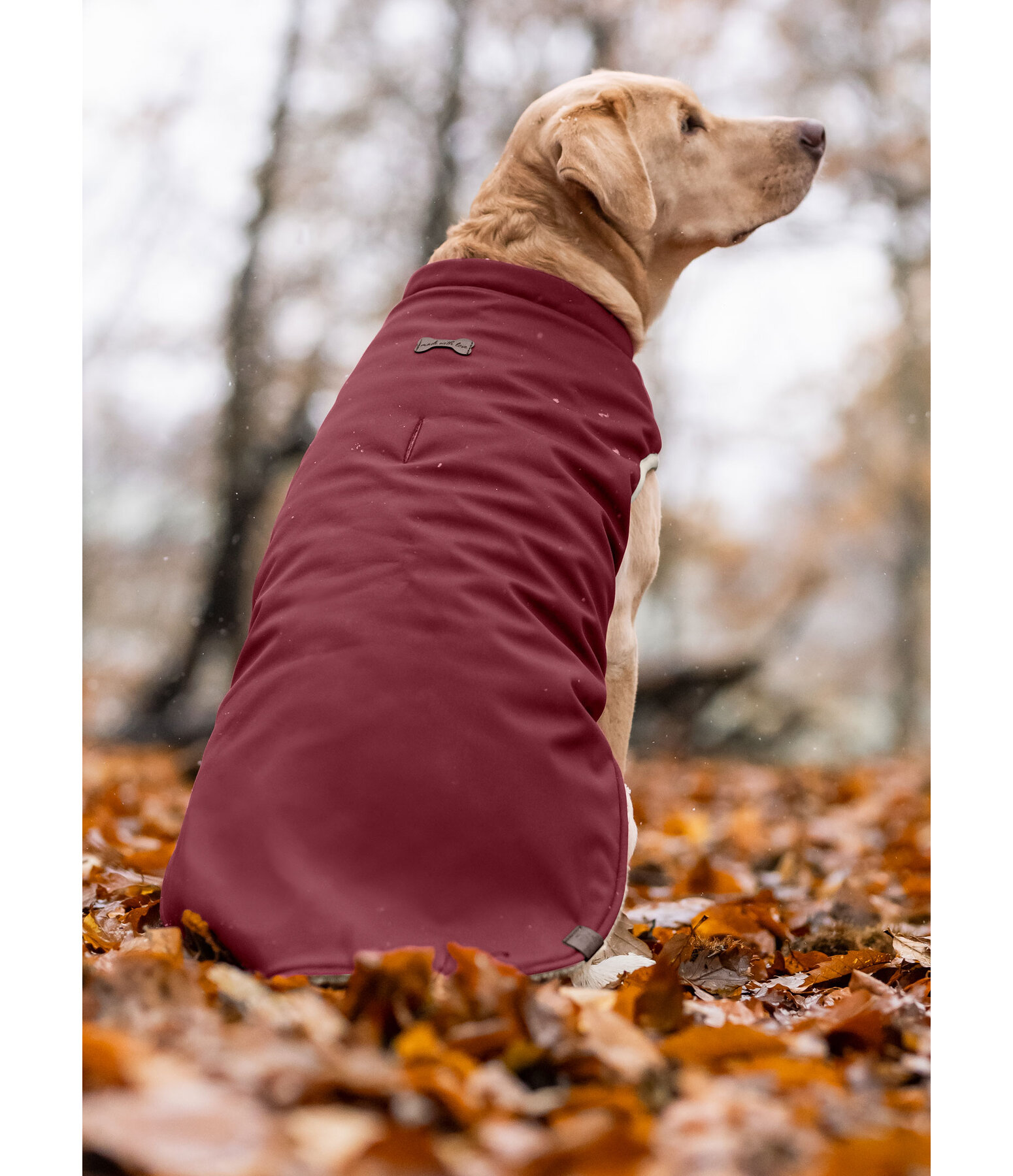 Cappotto reversibile in softshell per cani Willa, 80 g
