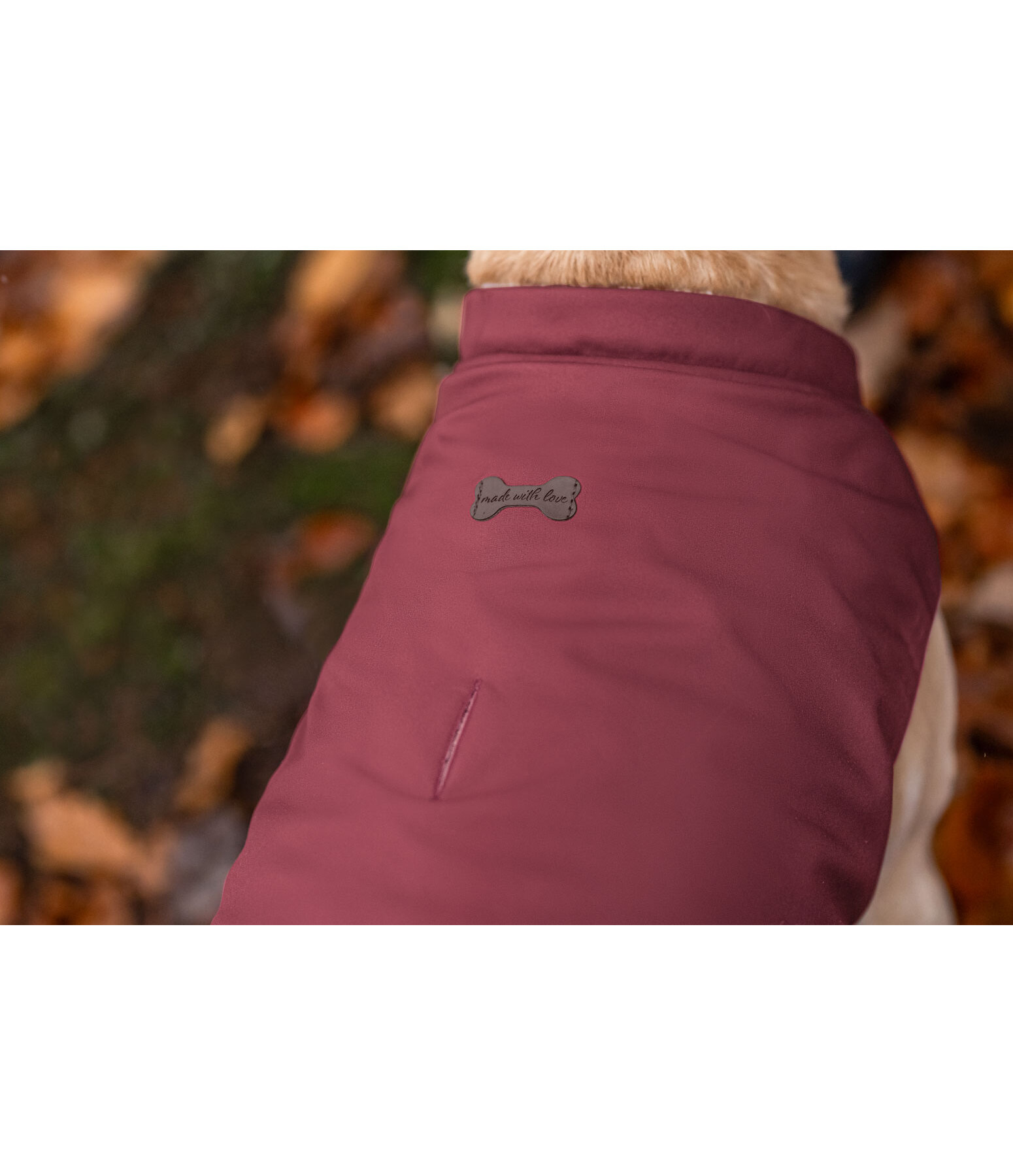 Cappotto reversibile in softshell per cani Willa, 80 g