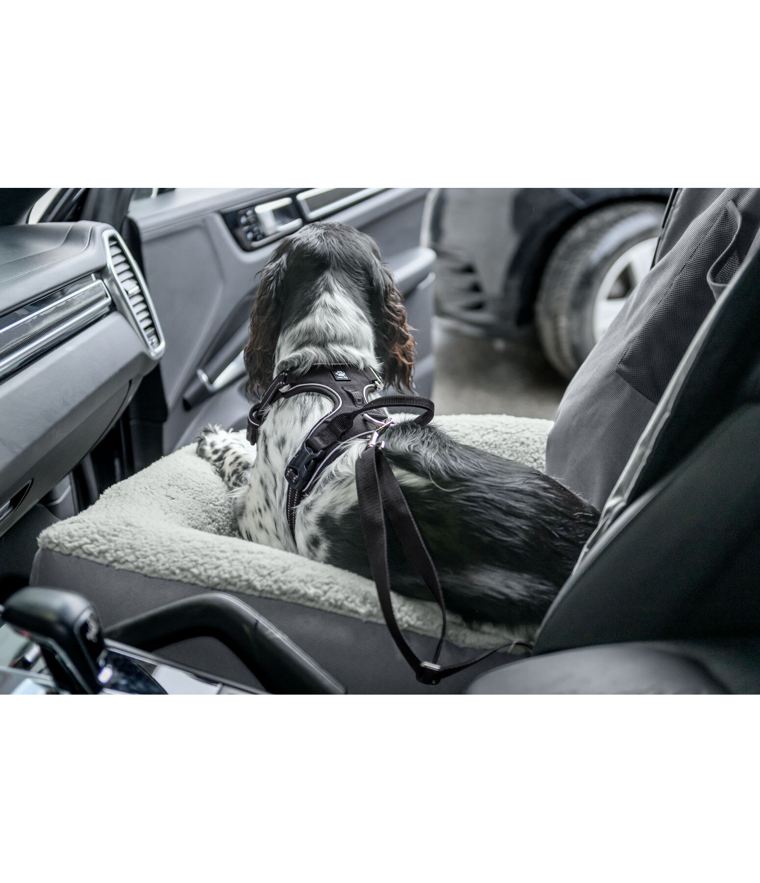 Cuccia per cani per auto Maine