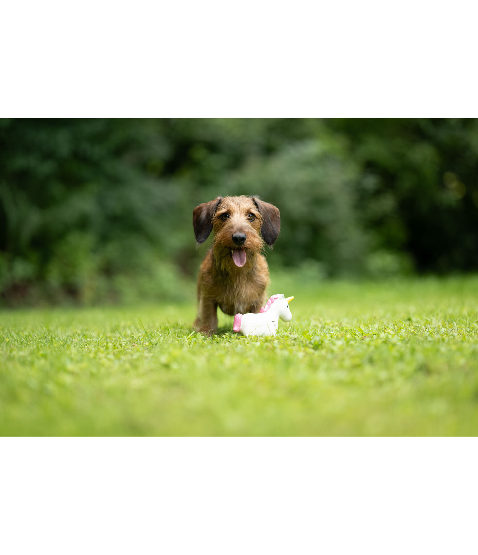 Giocattolo con squeaker per cani Unicorn