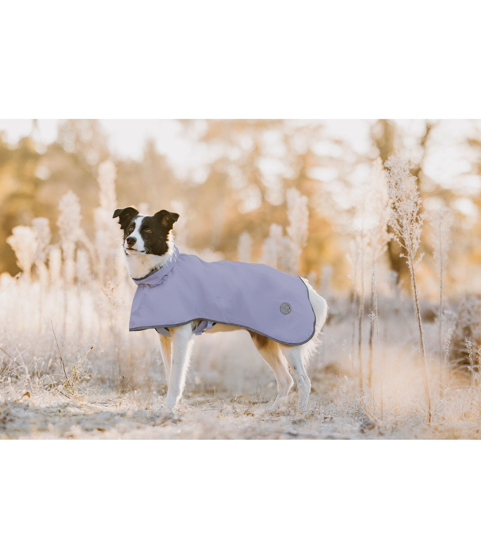 Impermeabile per cani Thousand Islands, 0 g