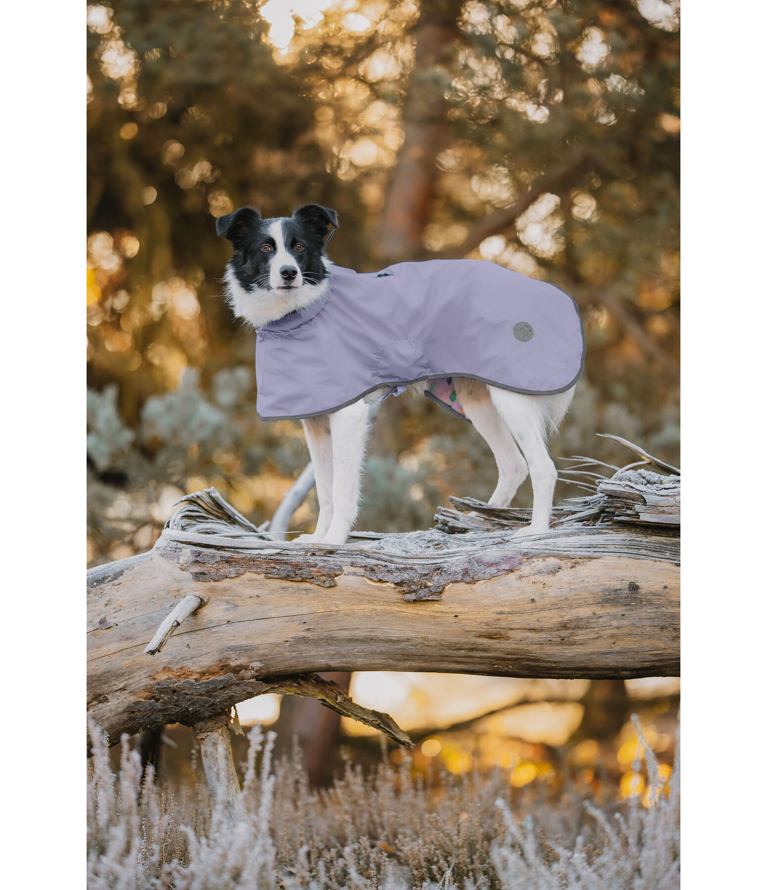 Impermeabile per cani Thousand Islands, 0 g
