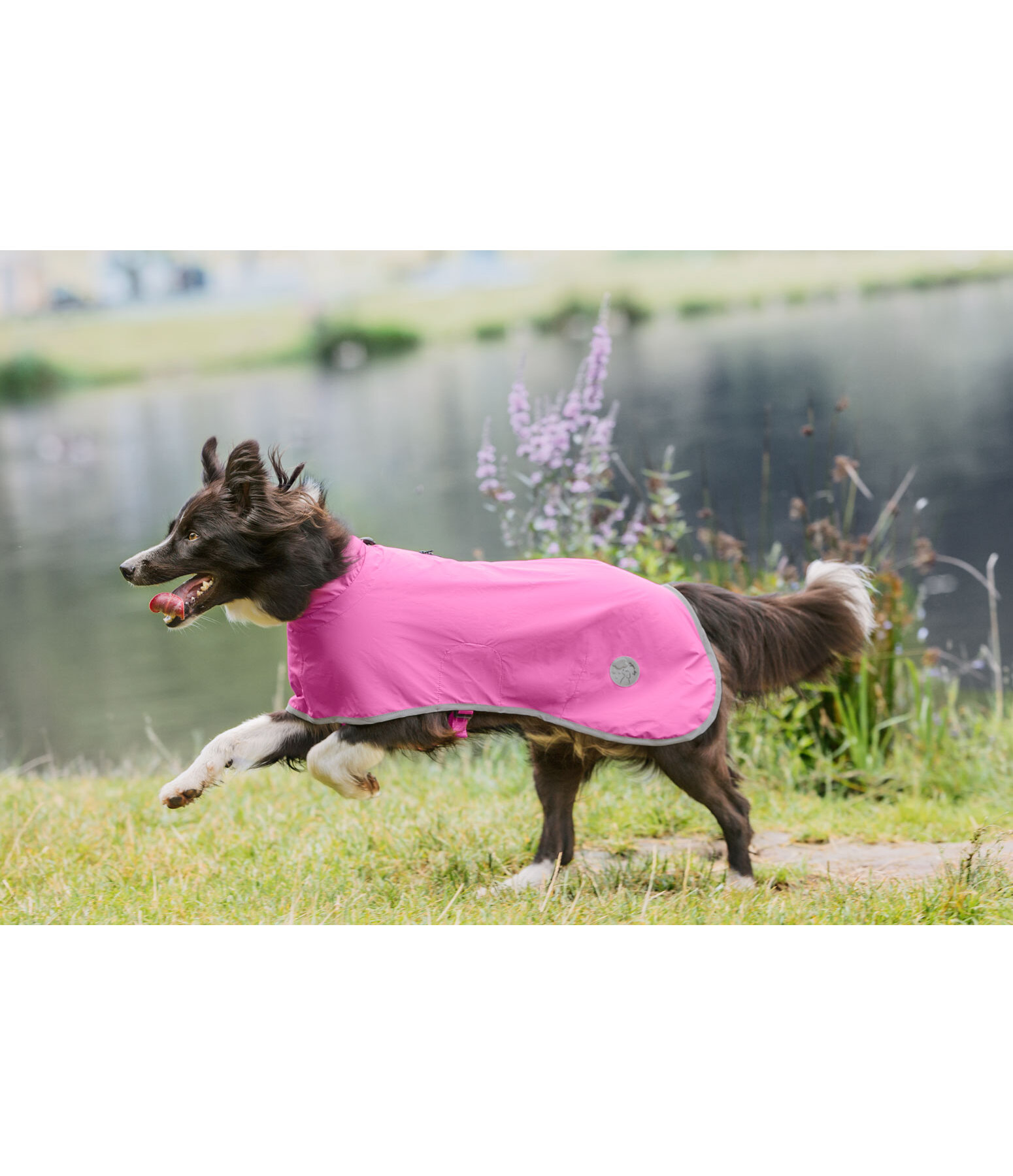 Impermeabile per cani Thousand Islands, 0 g