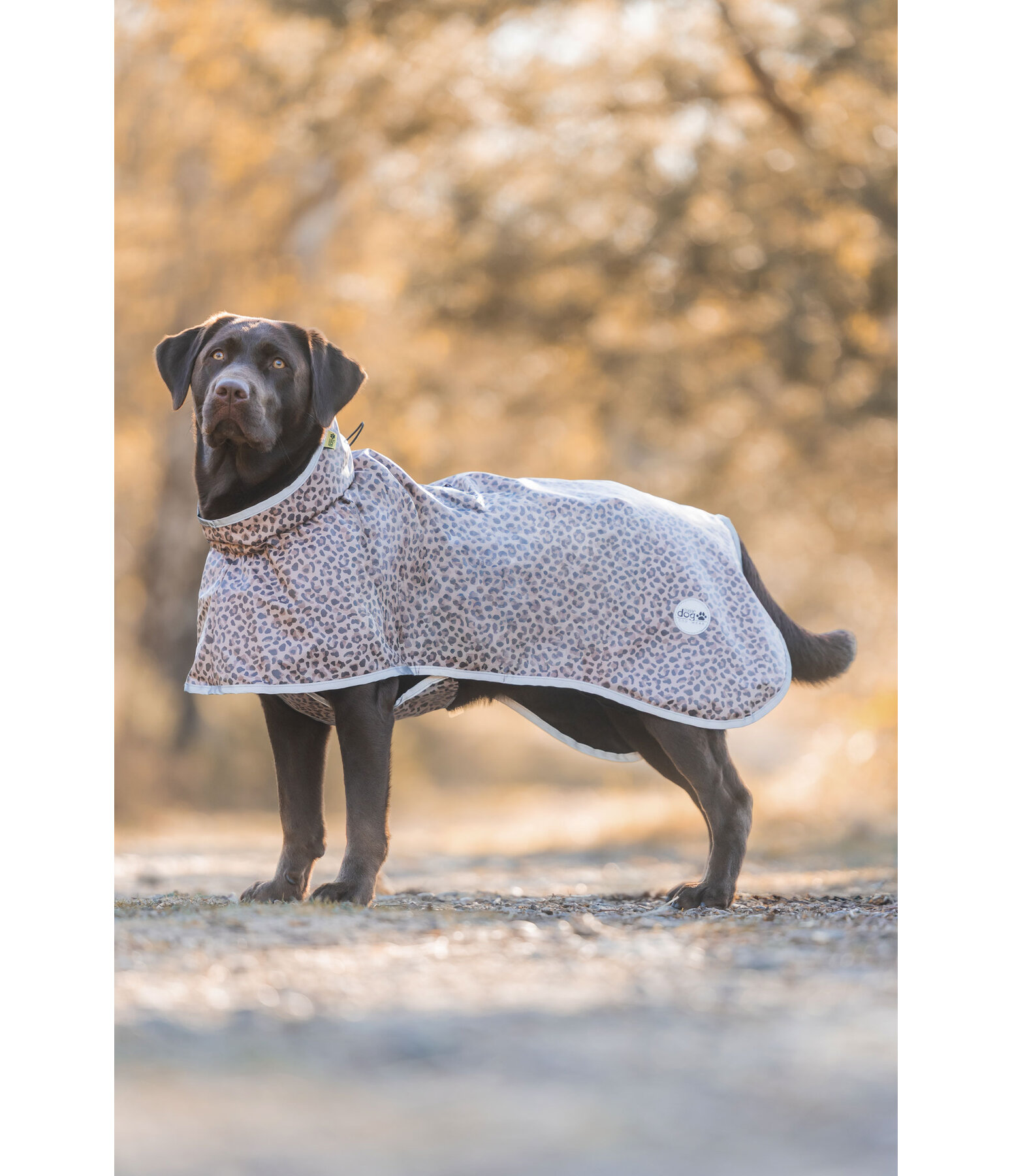 Impermeabile per cani Thousand Islands, 0 g