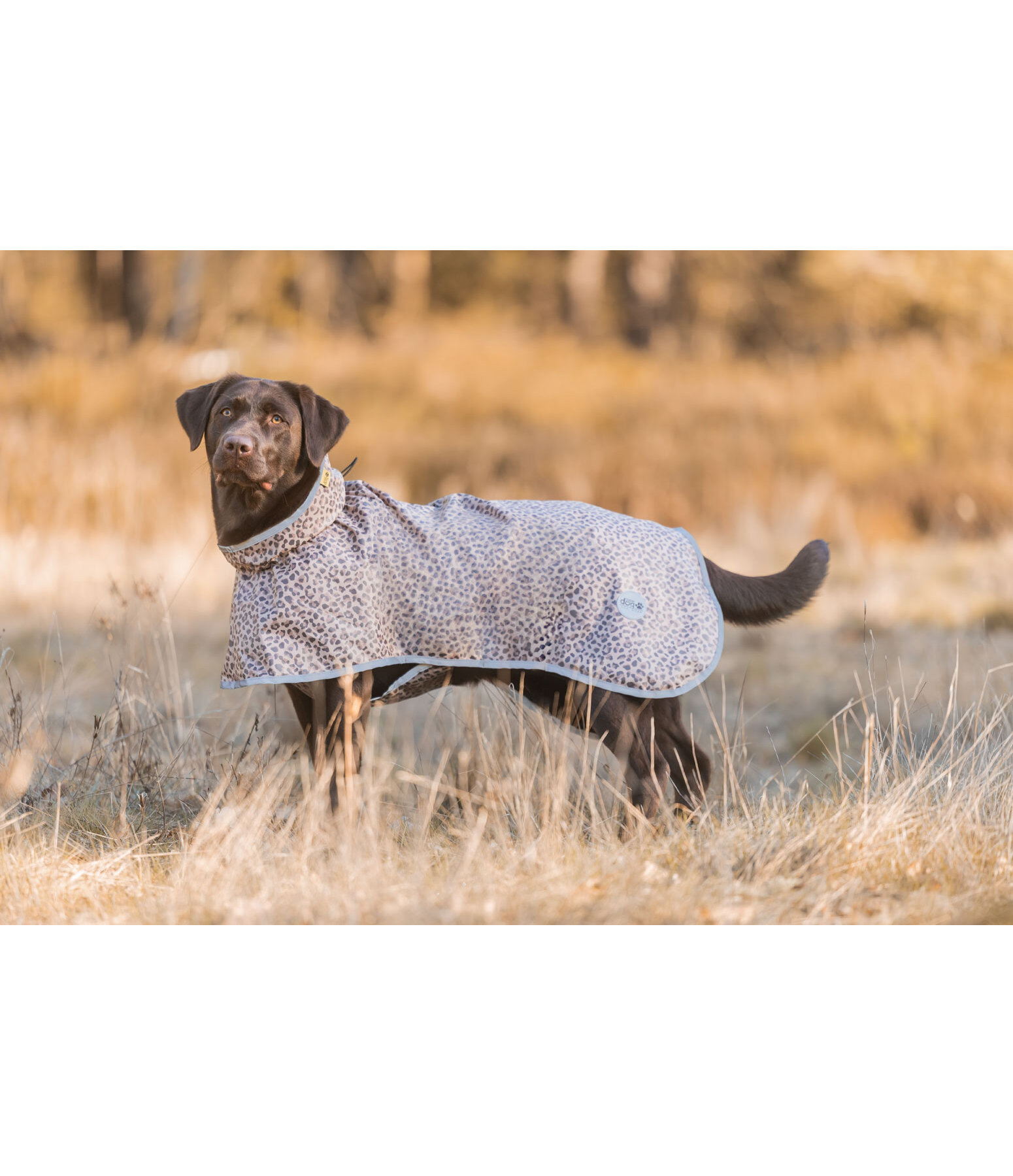Impermeabile per cani Thousand Islands, 0 g