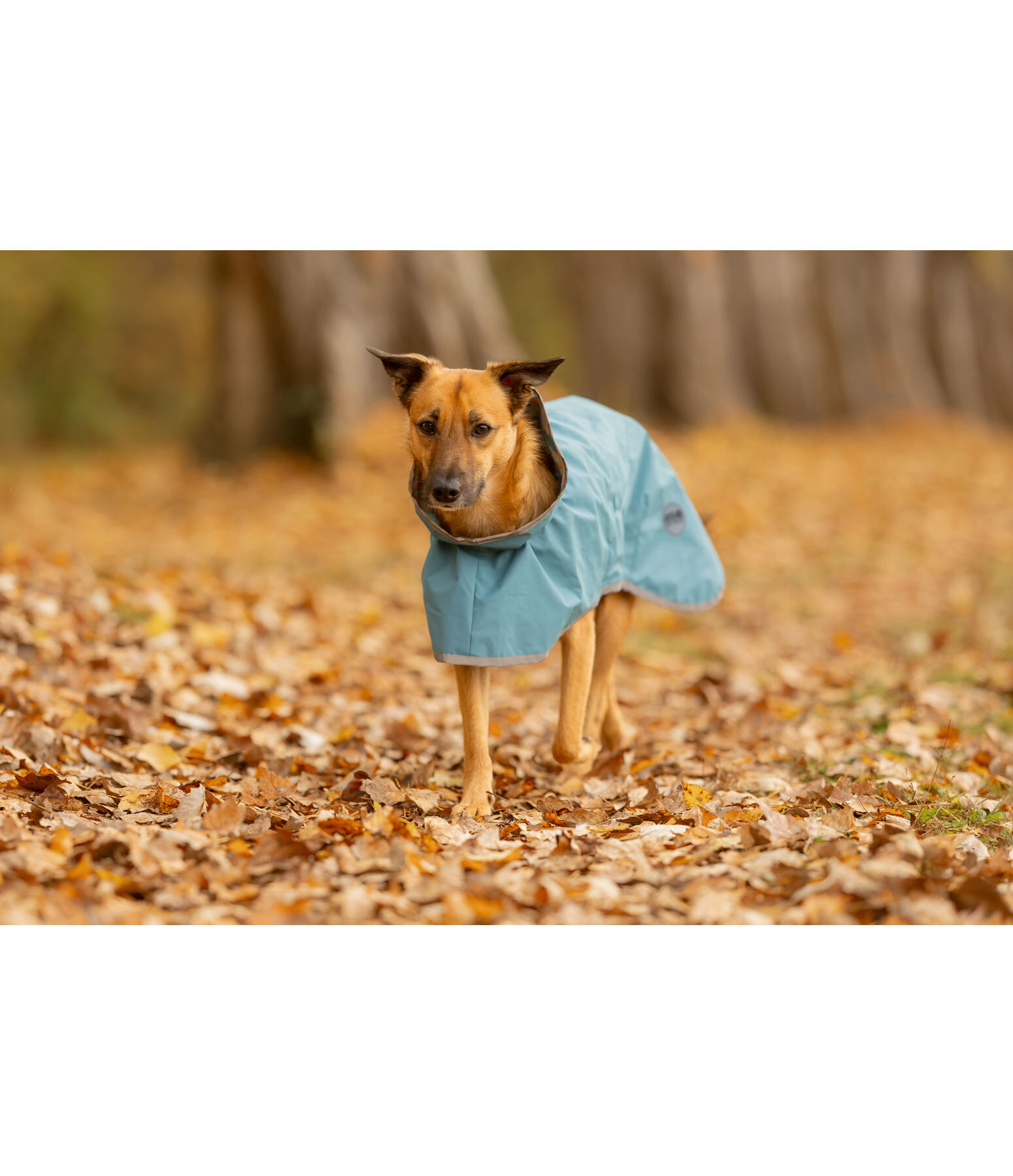 Impermeabile per cani Thousand Islands, 0 g