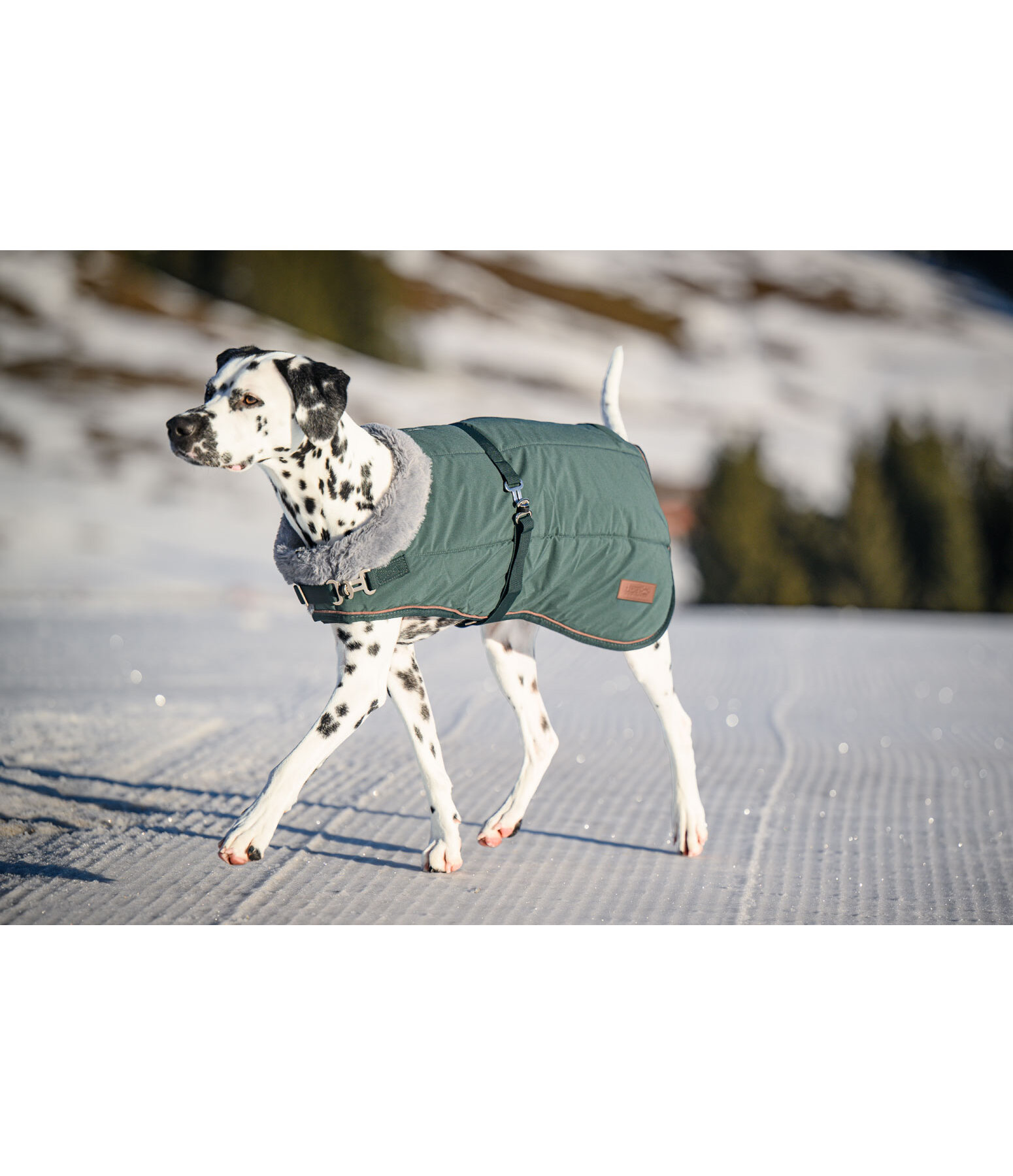 Cappotto invernale per cani Gizmo con pelliccia, 200 g