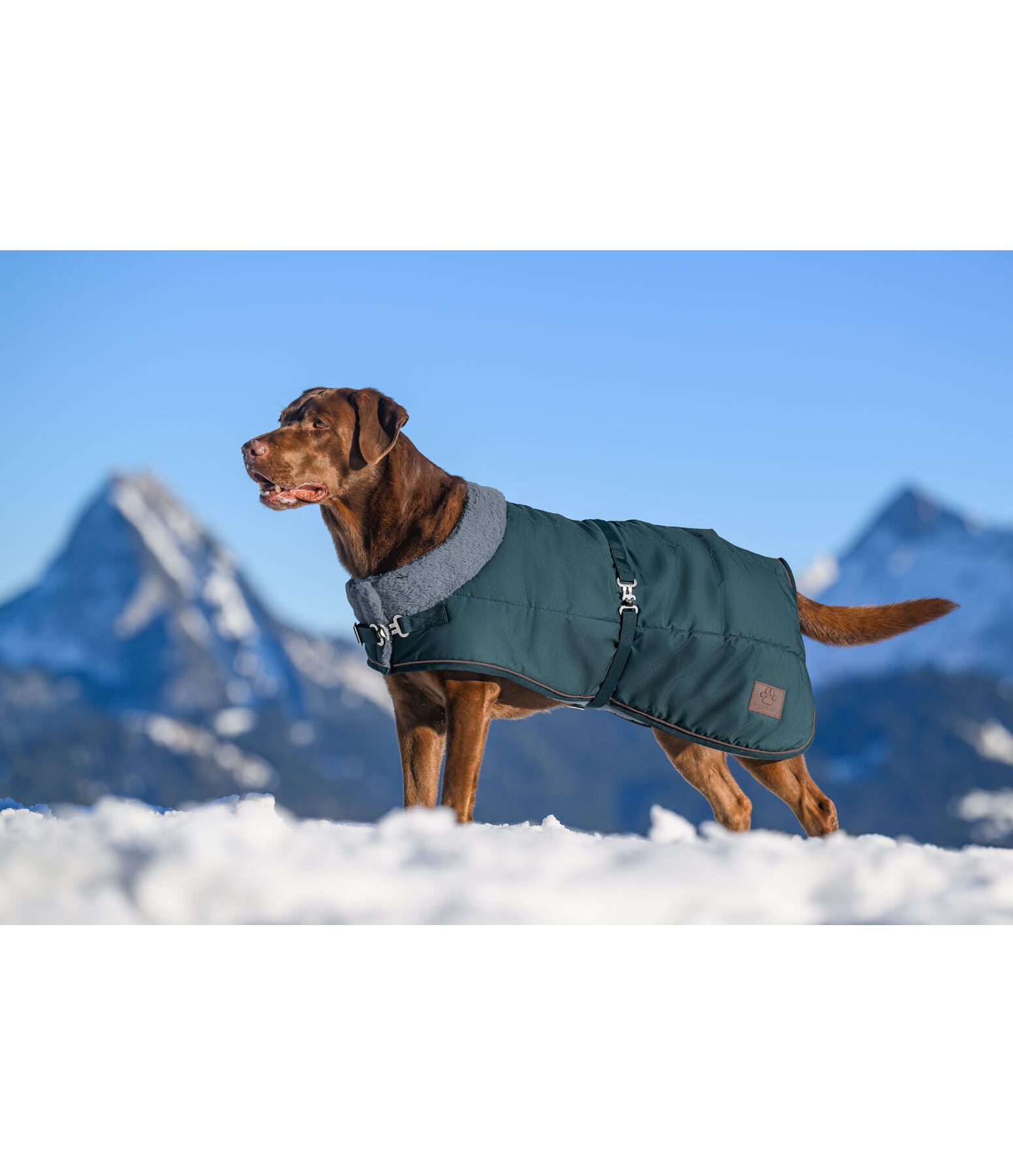 Cappotto invernale per cani Gizmo con pelliccia, 200 g