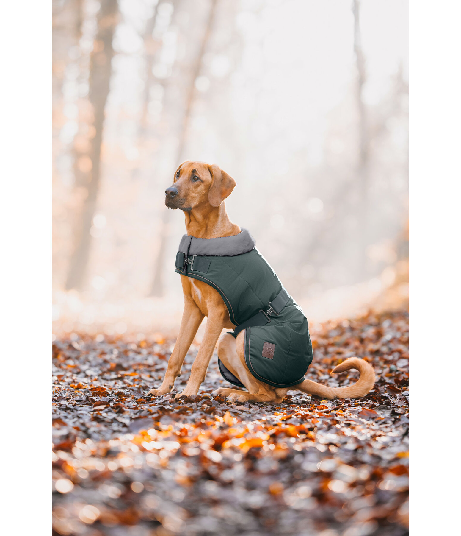 Cappotto invernale per cani Gizmo con pelliccia, 200 g