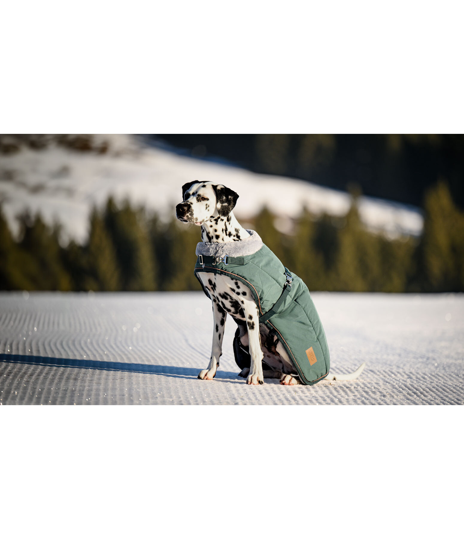 Cappotto invernale per cani Gizmo con pelliccia, 200 g