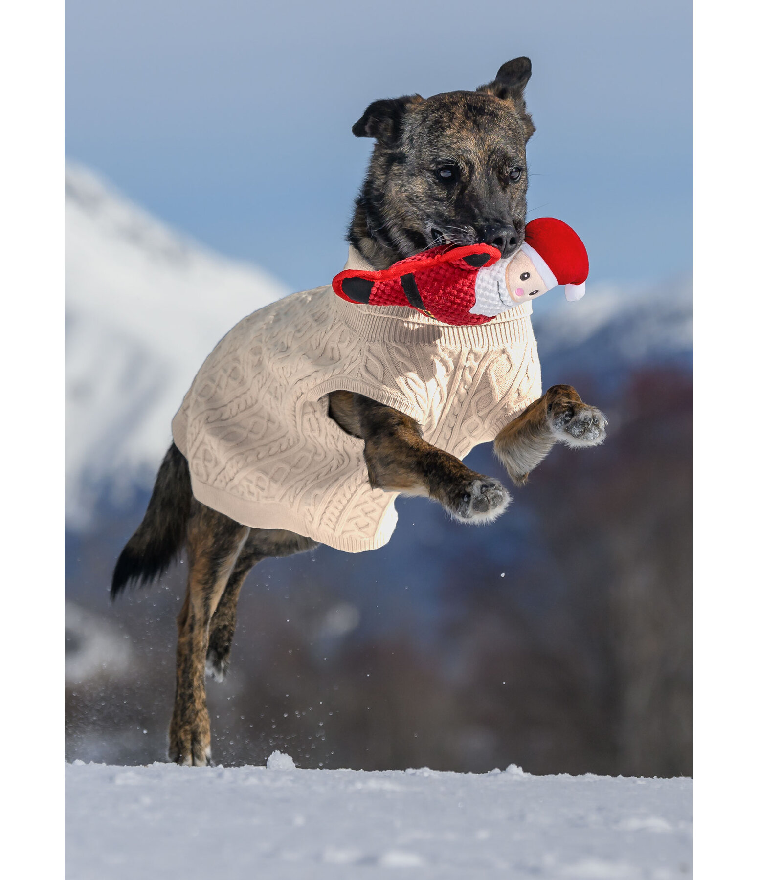 Peluche per cani Santa