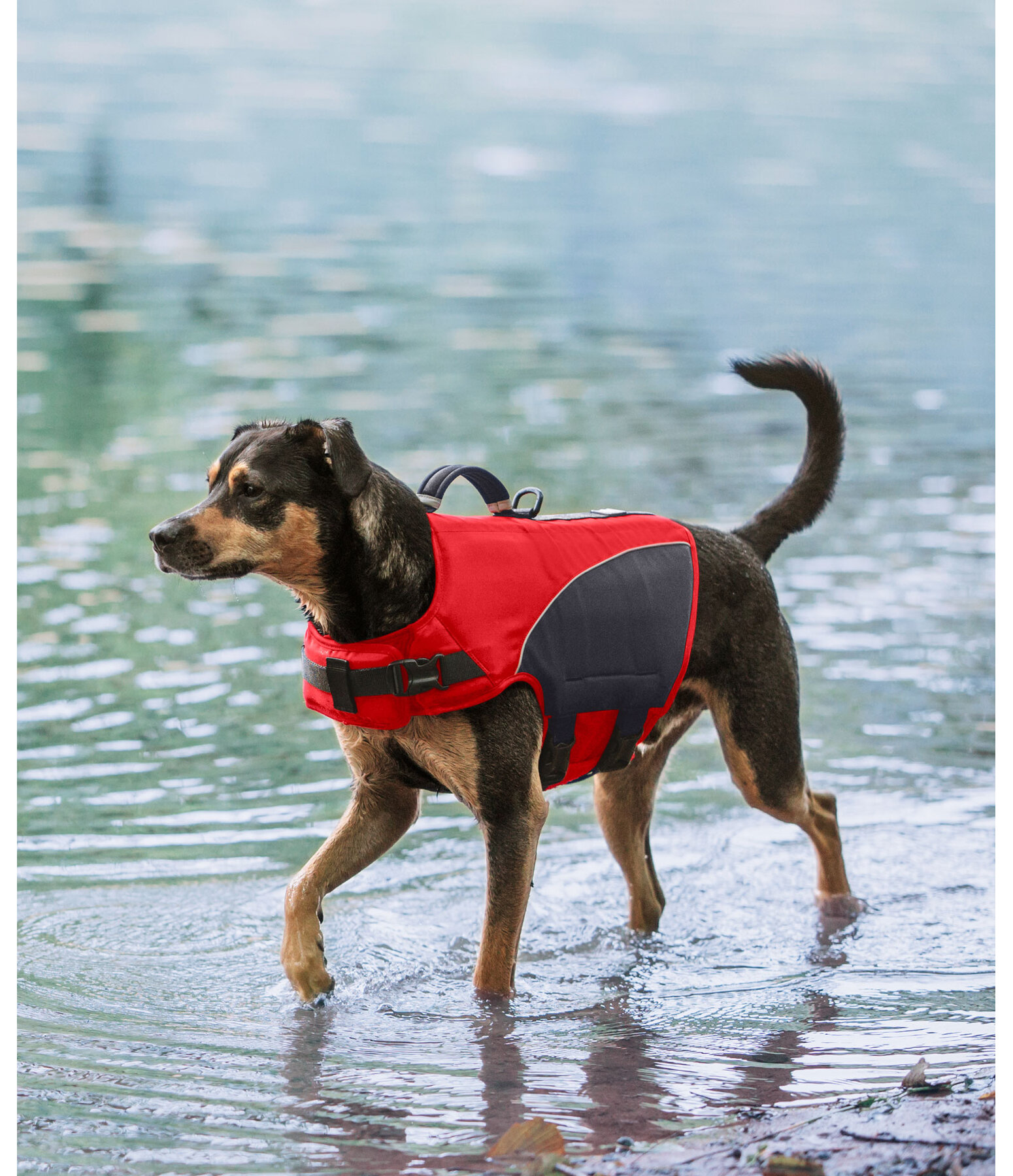 Giubbotto salvagente per cani Life Guard