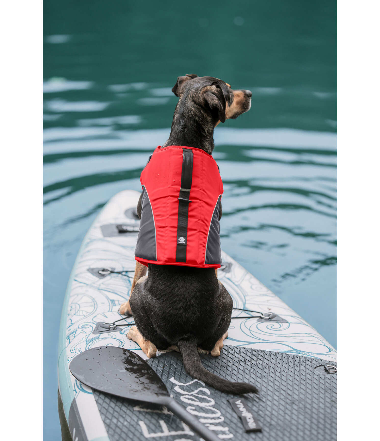 Giubbotto salvagente per cani Life Guard