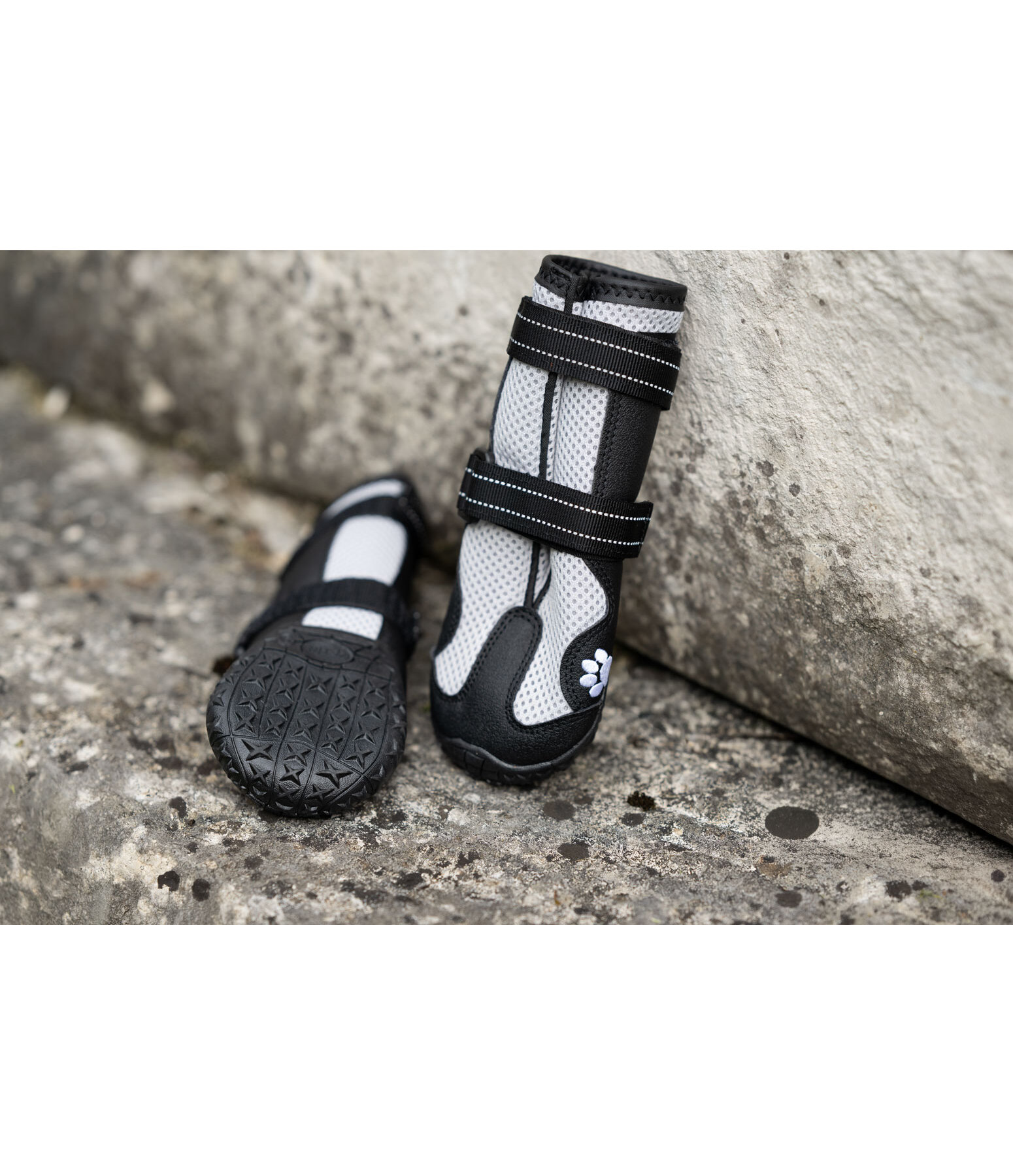 Scarpette protettive per cani Dubai