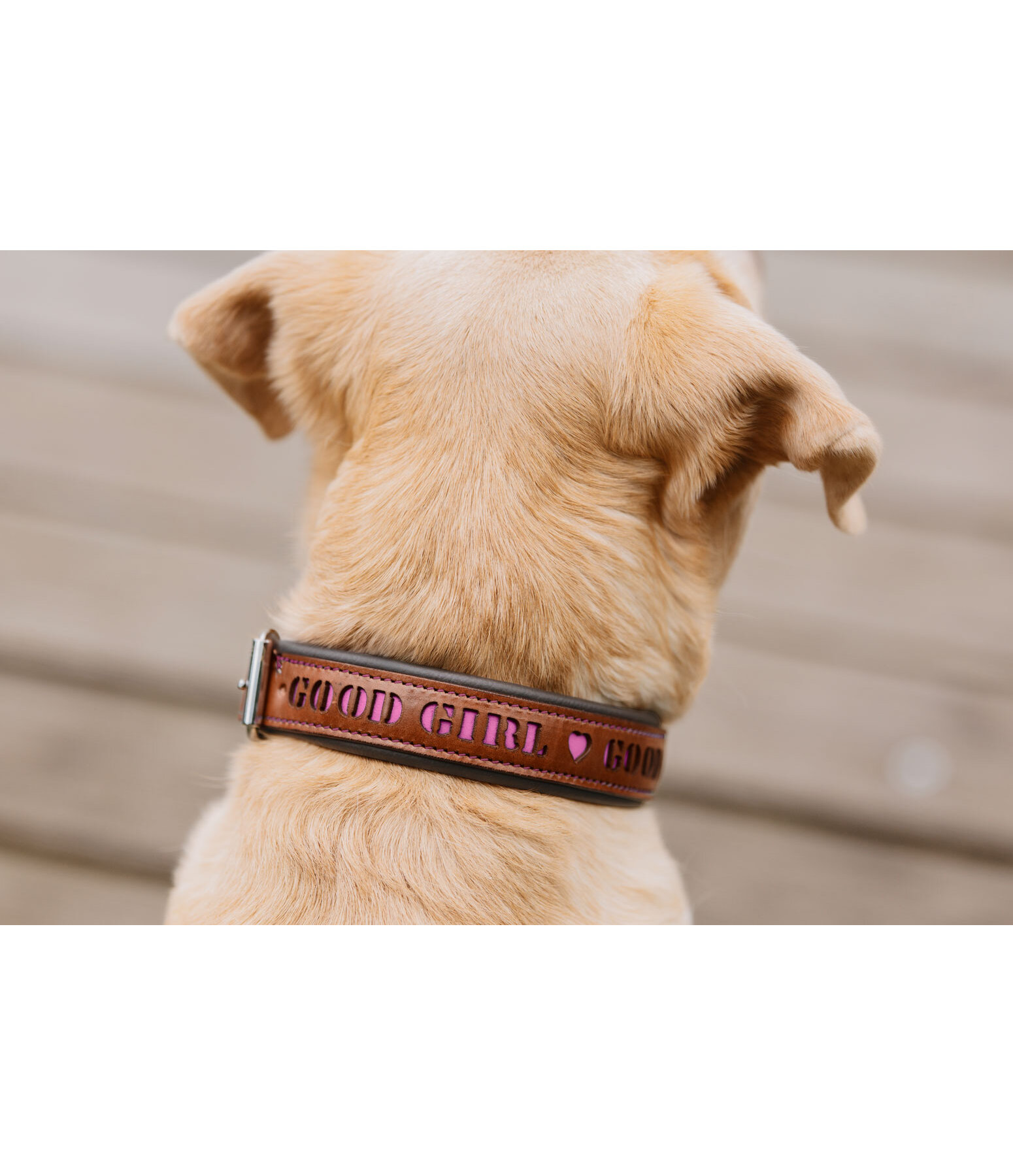 Collare in cuoio Good Dog