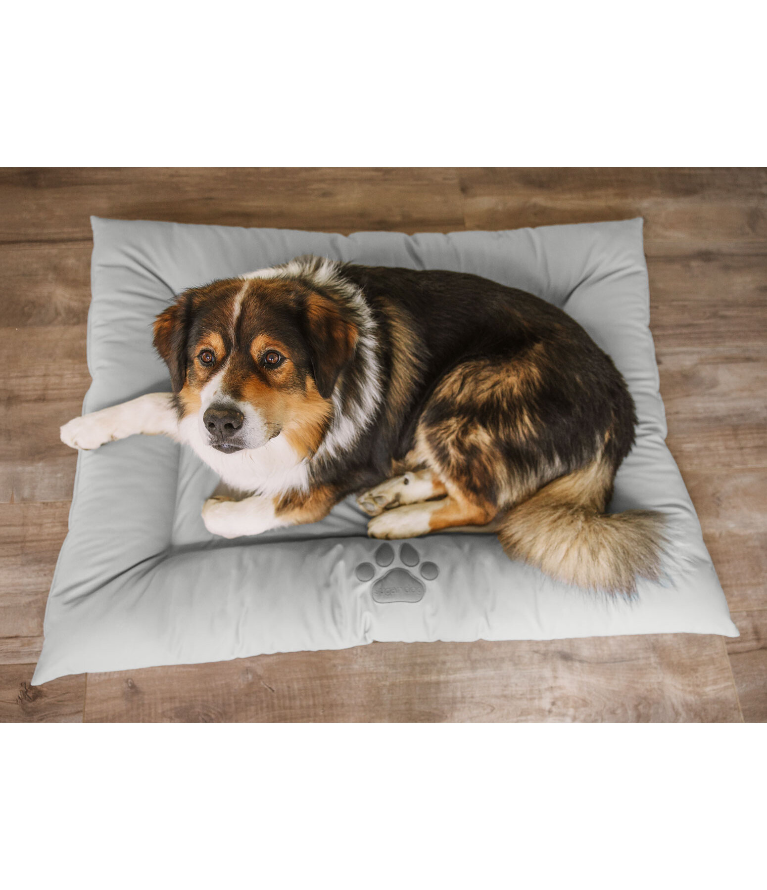Cuccia in pelle sintetica per cani Gioia