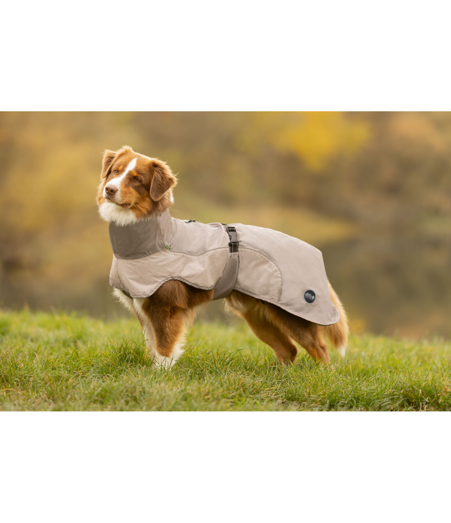 Impermeabile Lightweight per cani Alma, 0 g