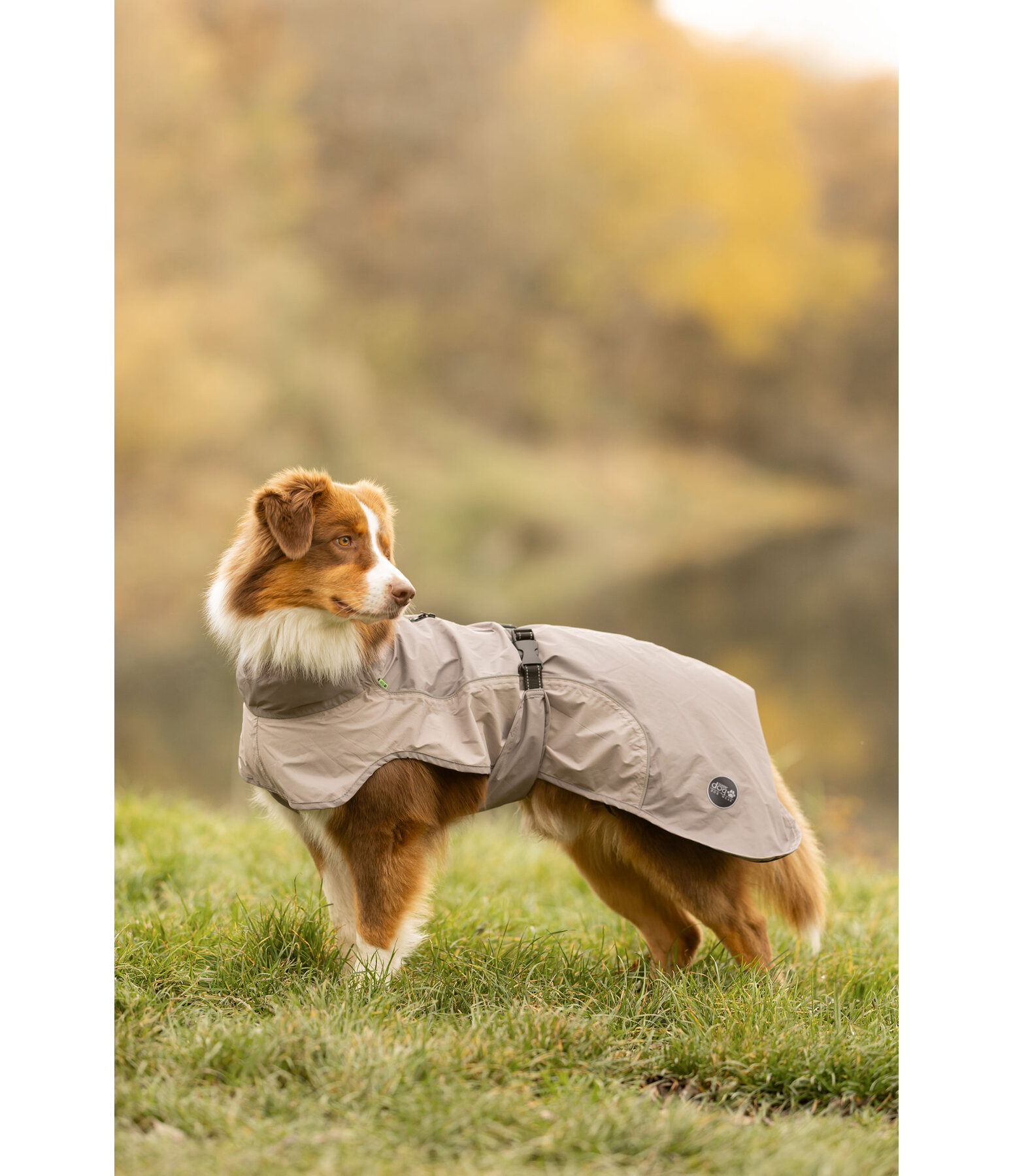 Impermeabile Lightweight per cani Alma, 0 g