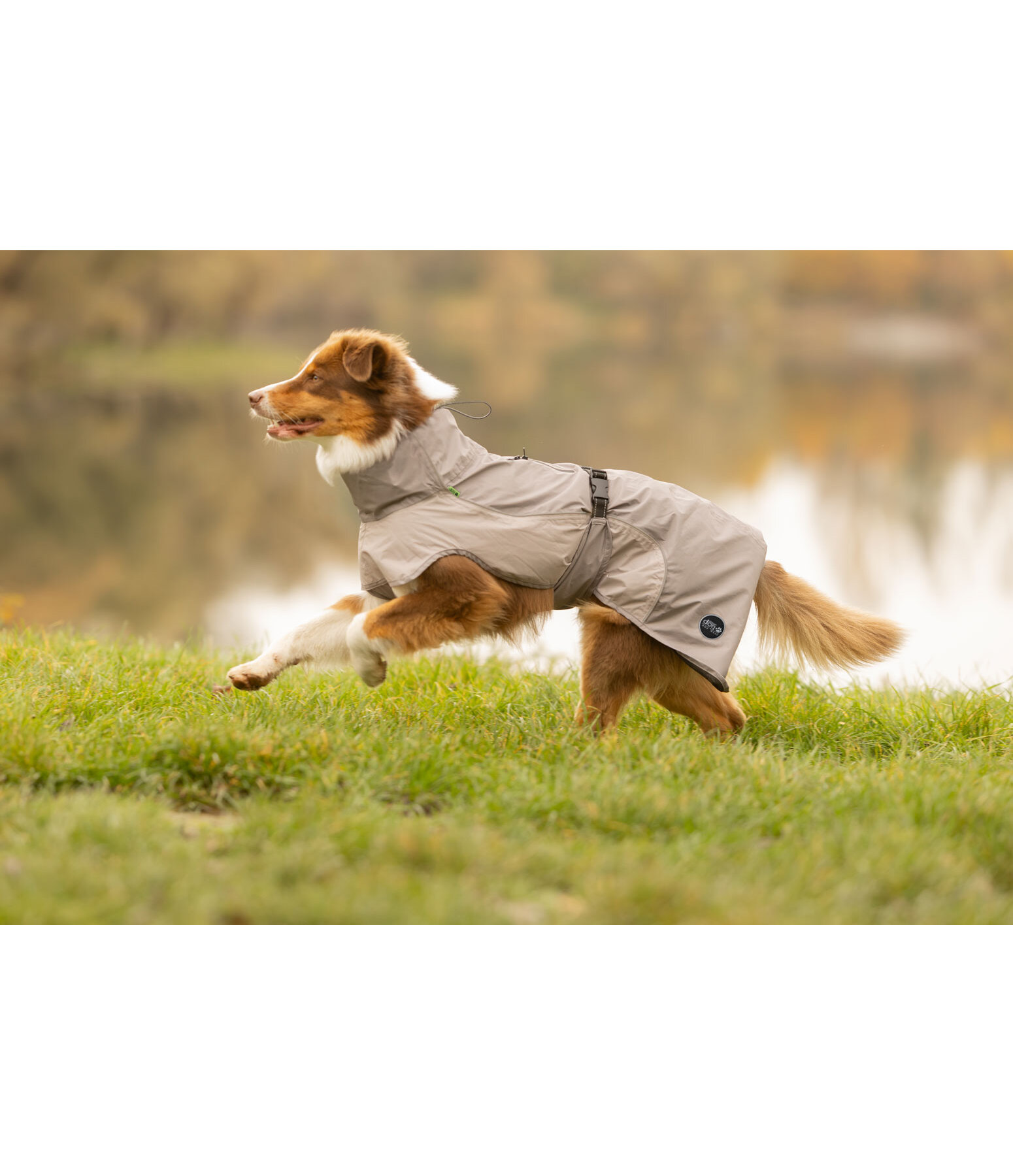 Impermeabile Lightweight per cani Alma, 0 g