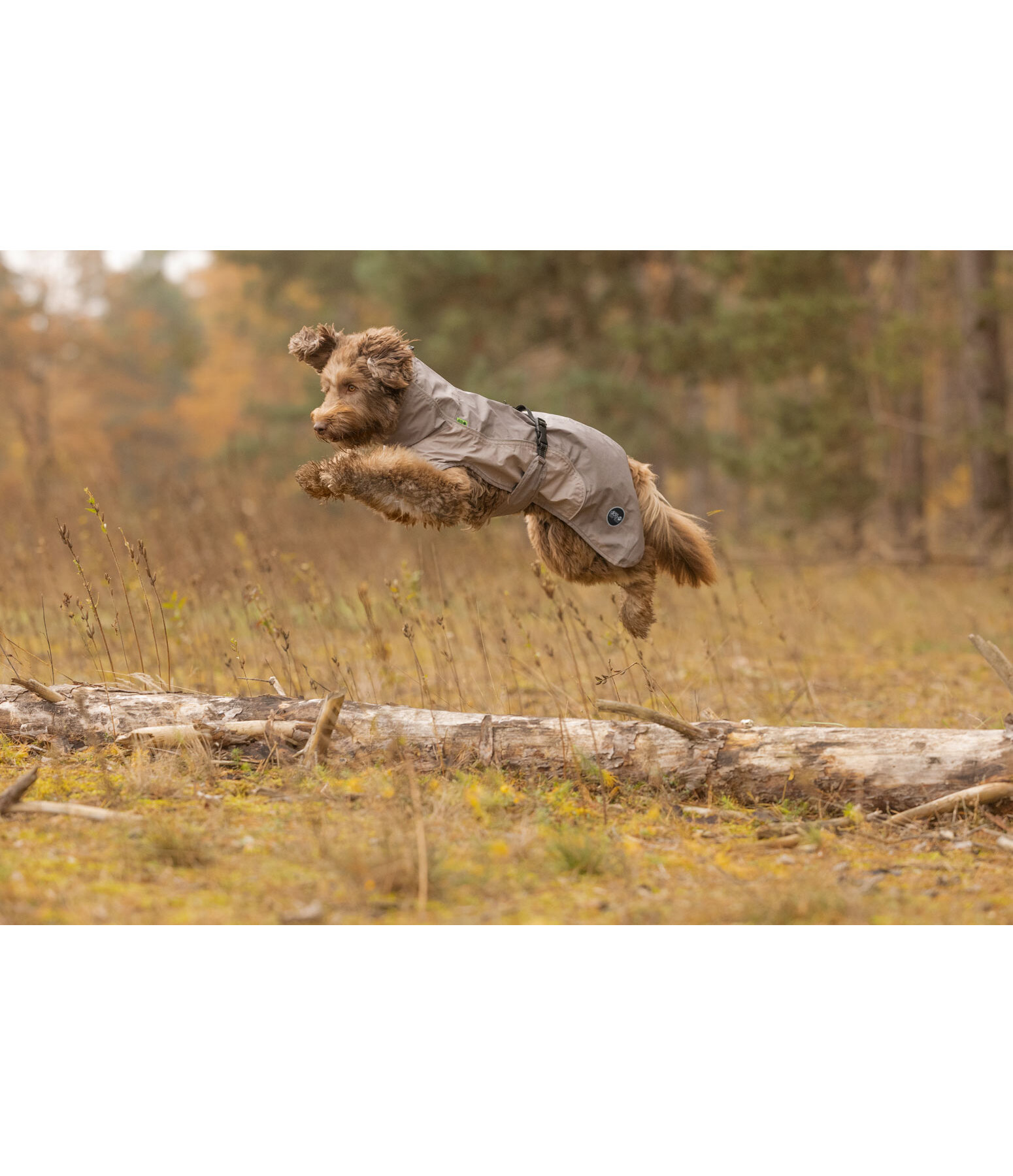 Impermeabile Lightweight per cani Alma, 0 g