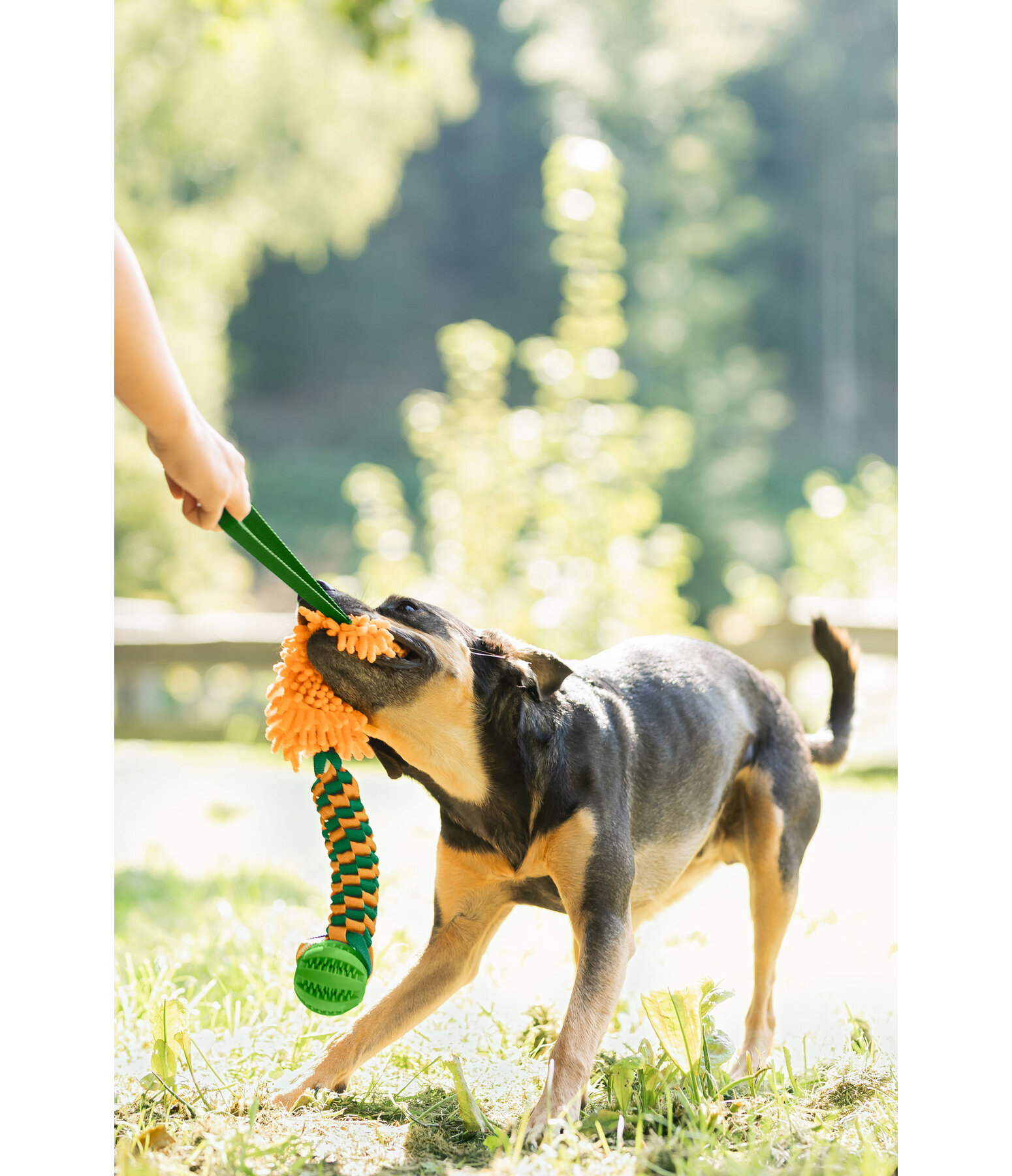 Giocattolo per cani Agi