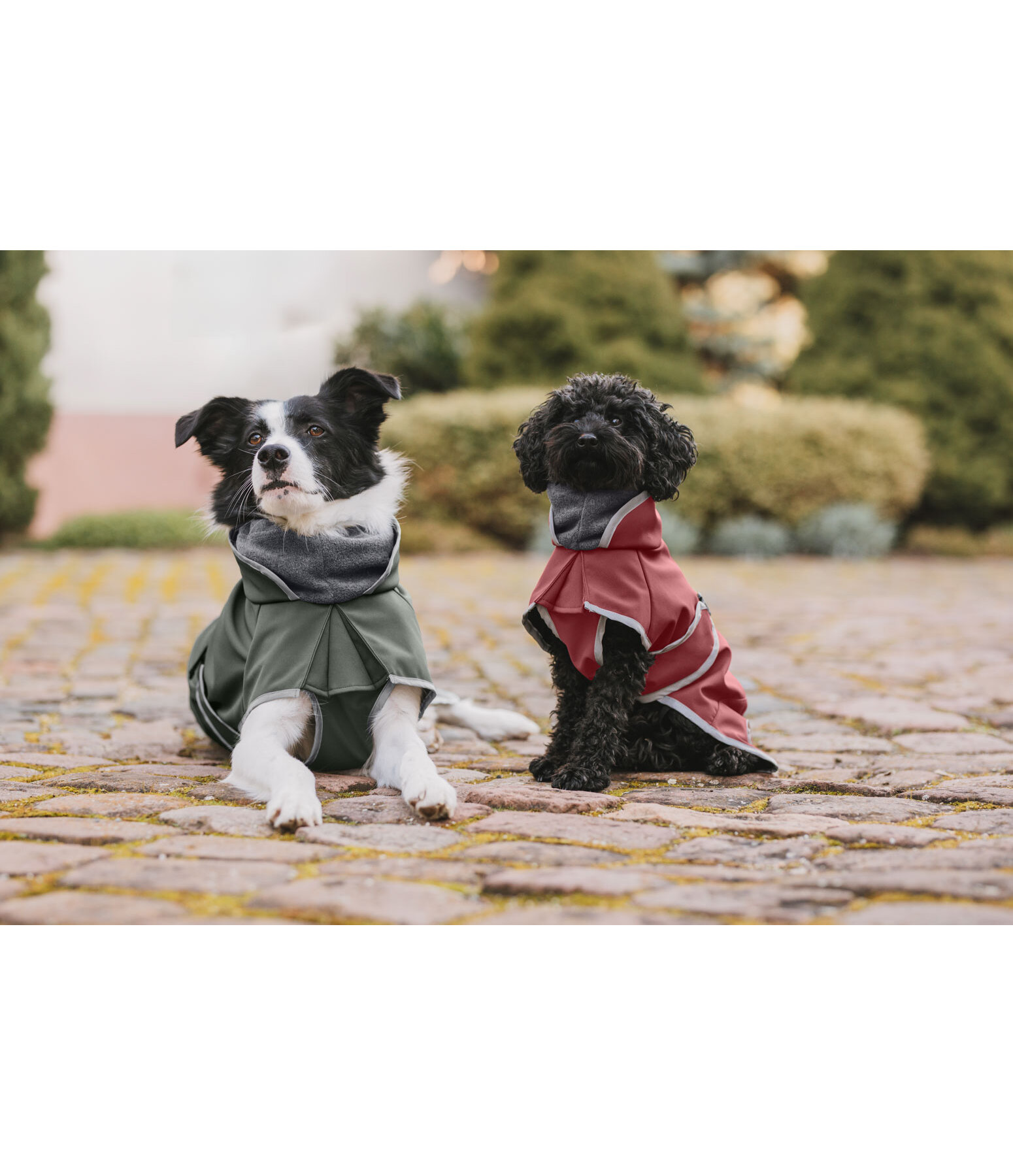 Cappotto in softshell per cani con colletto in pile Frida