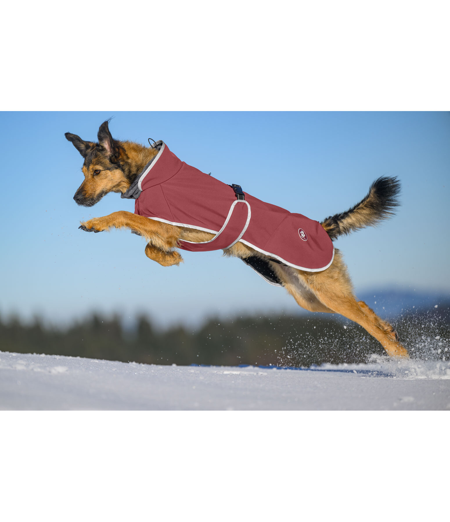 Cappotto in softshell per cani con colletto in pile Frida