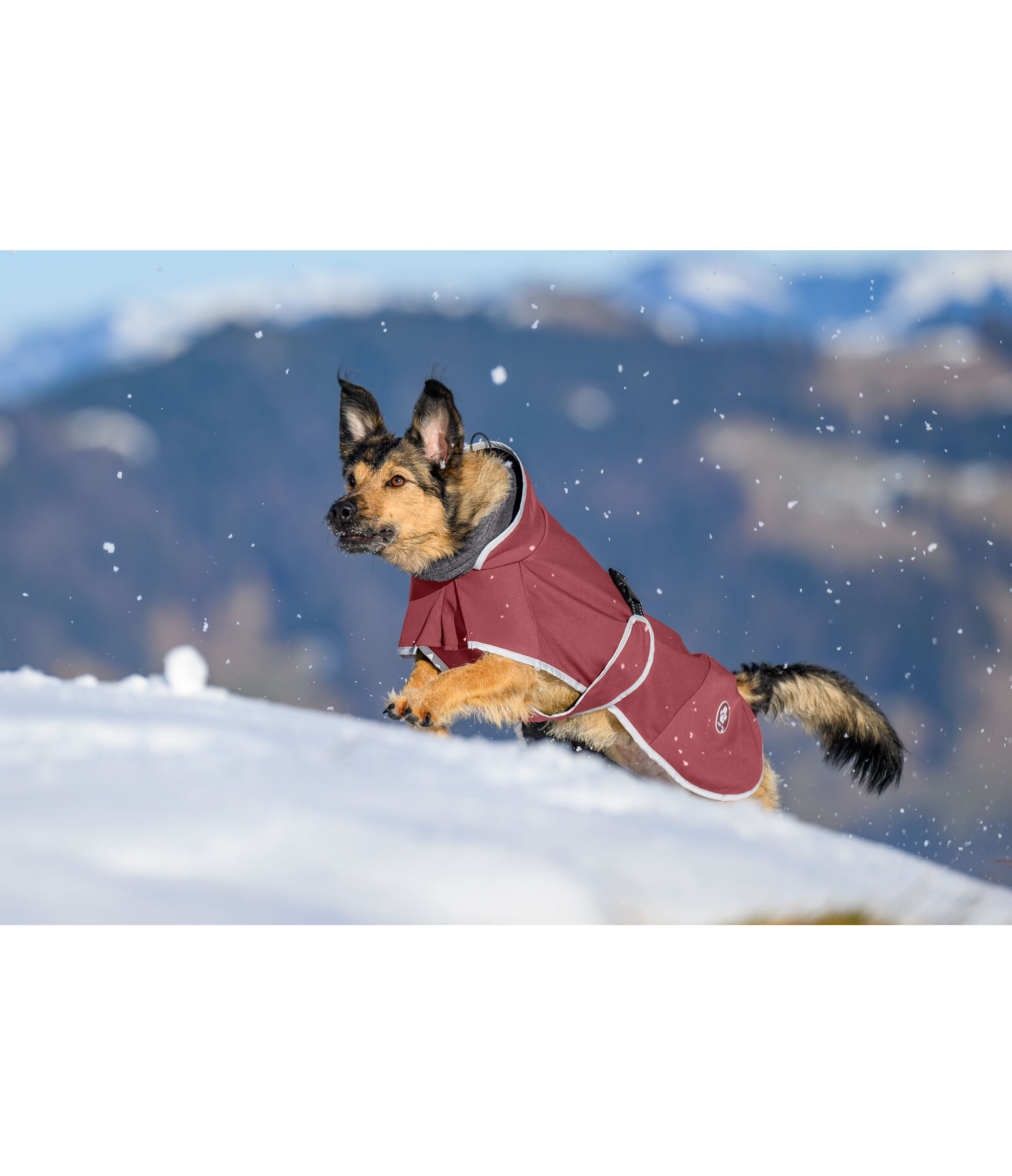 Cappotto in softshell per cani con colletto in pile Frida